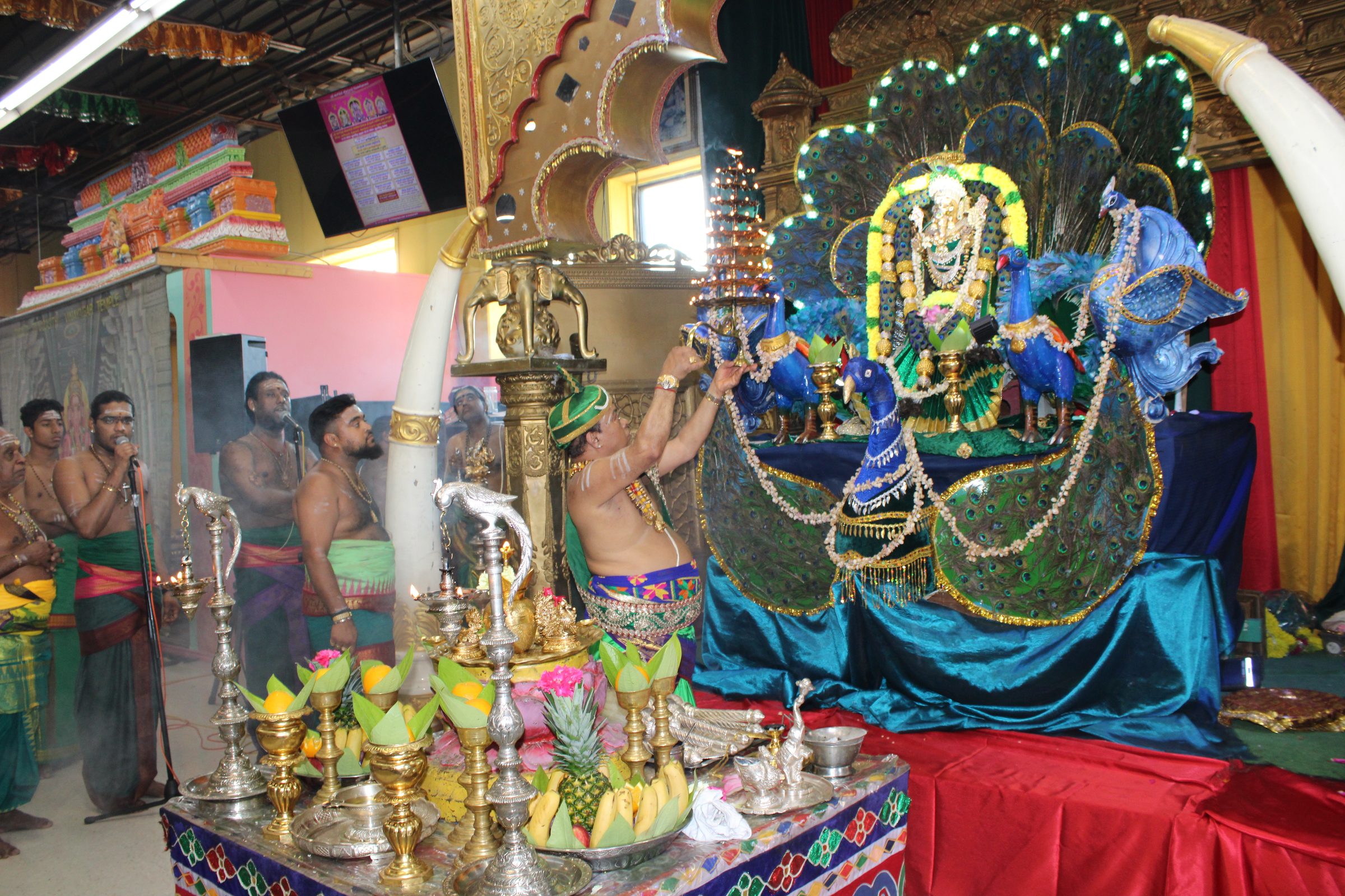 Festival 2024 photo