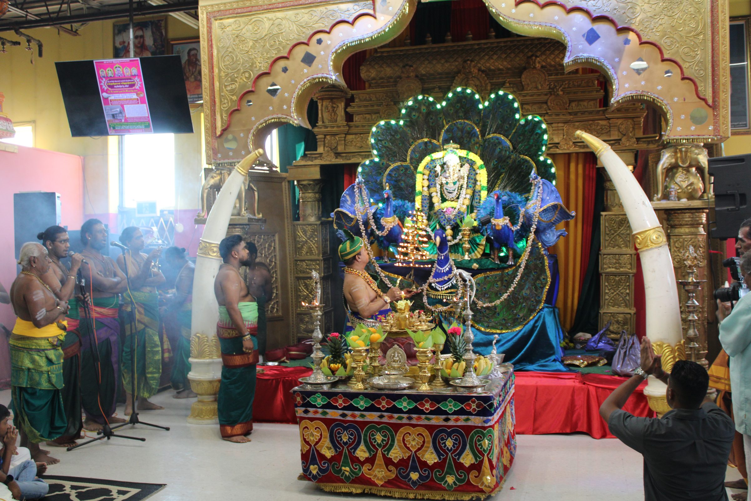 Festival 2024 photo