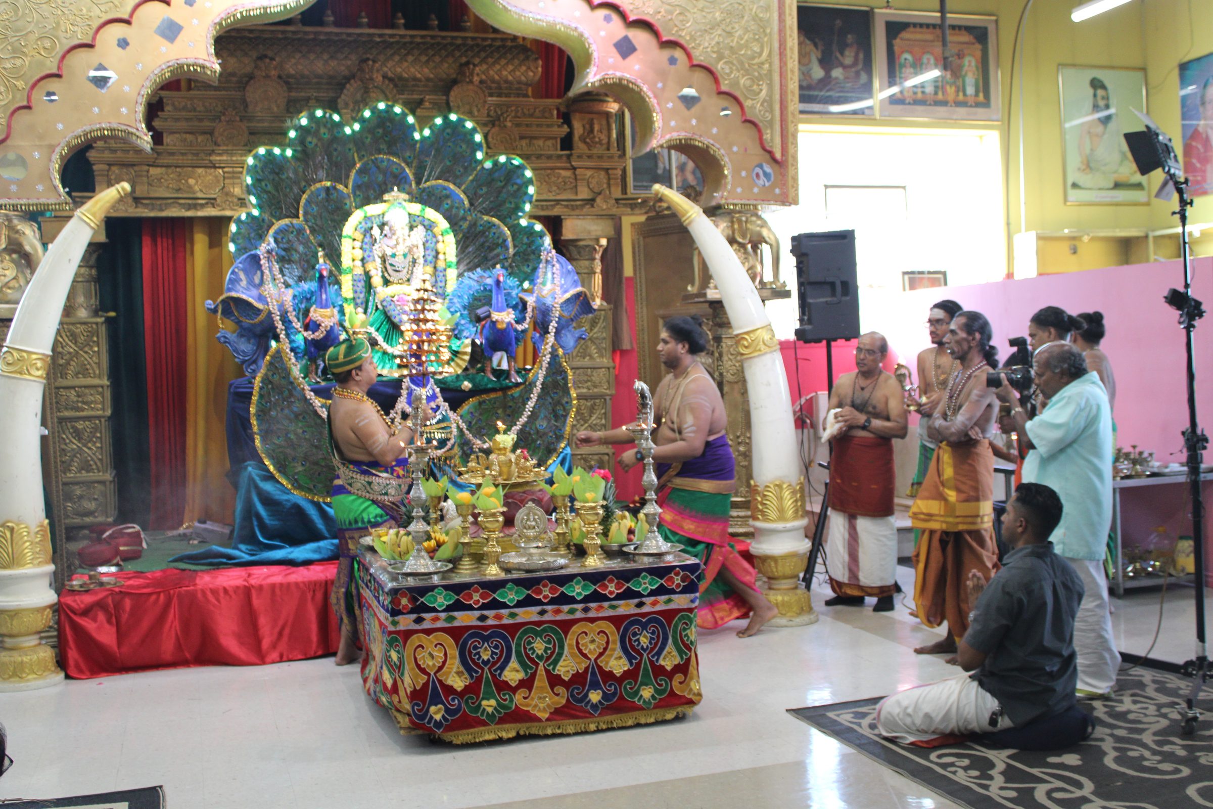 Festival 2024 photo