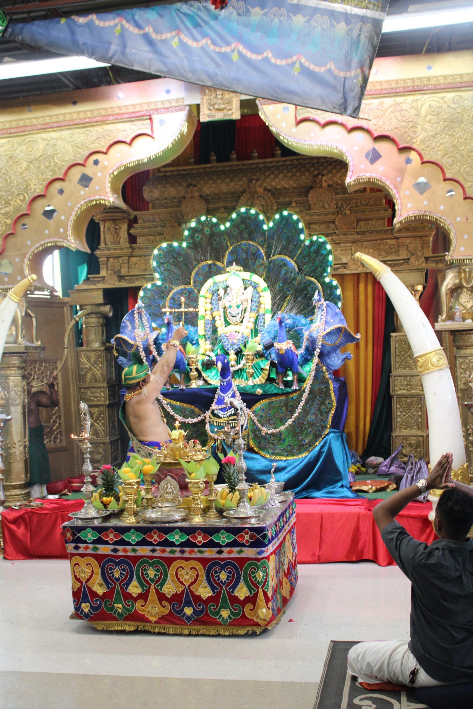 Festival 2024 photo