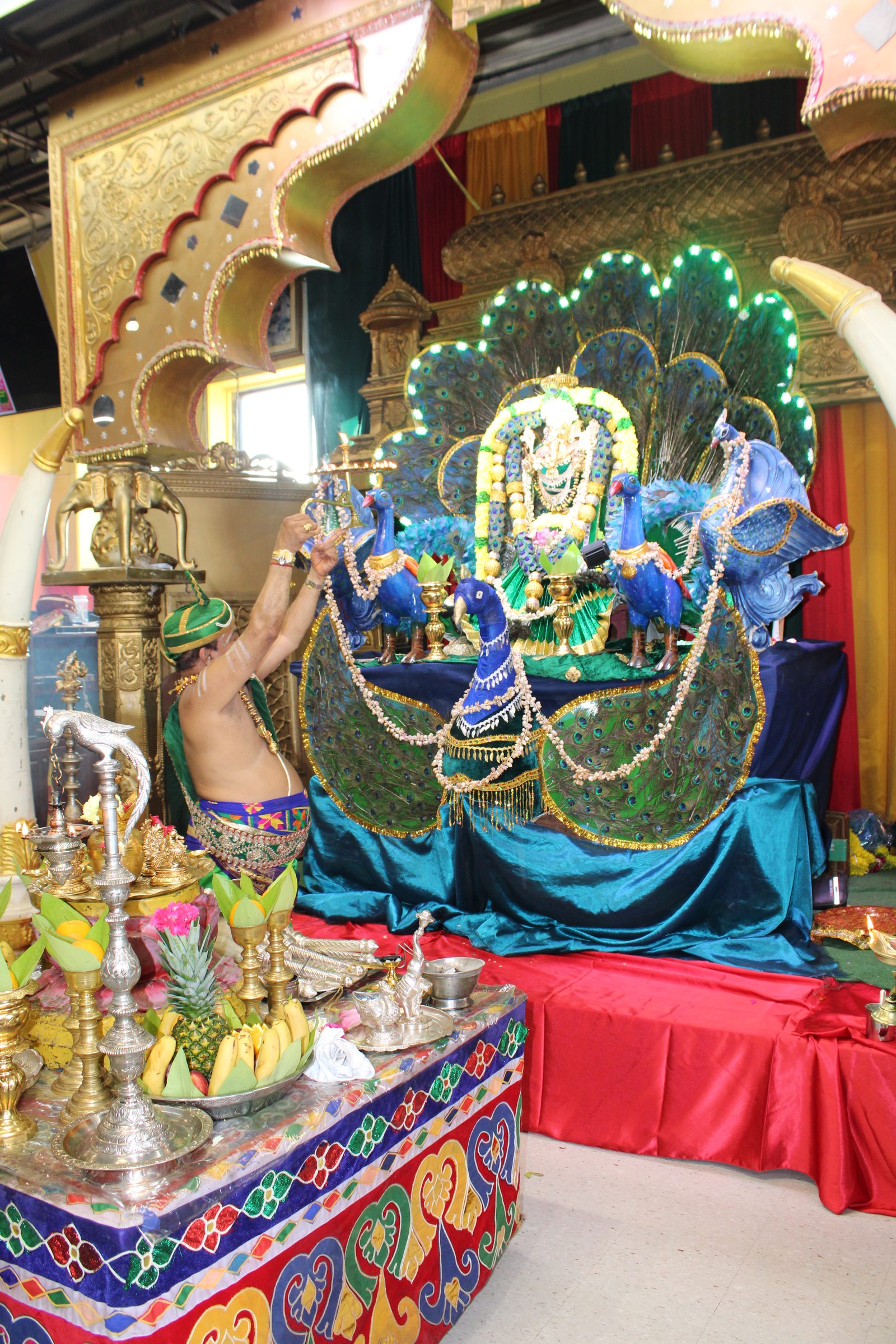 Festival 2024 photo
