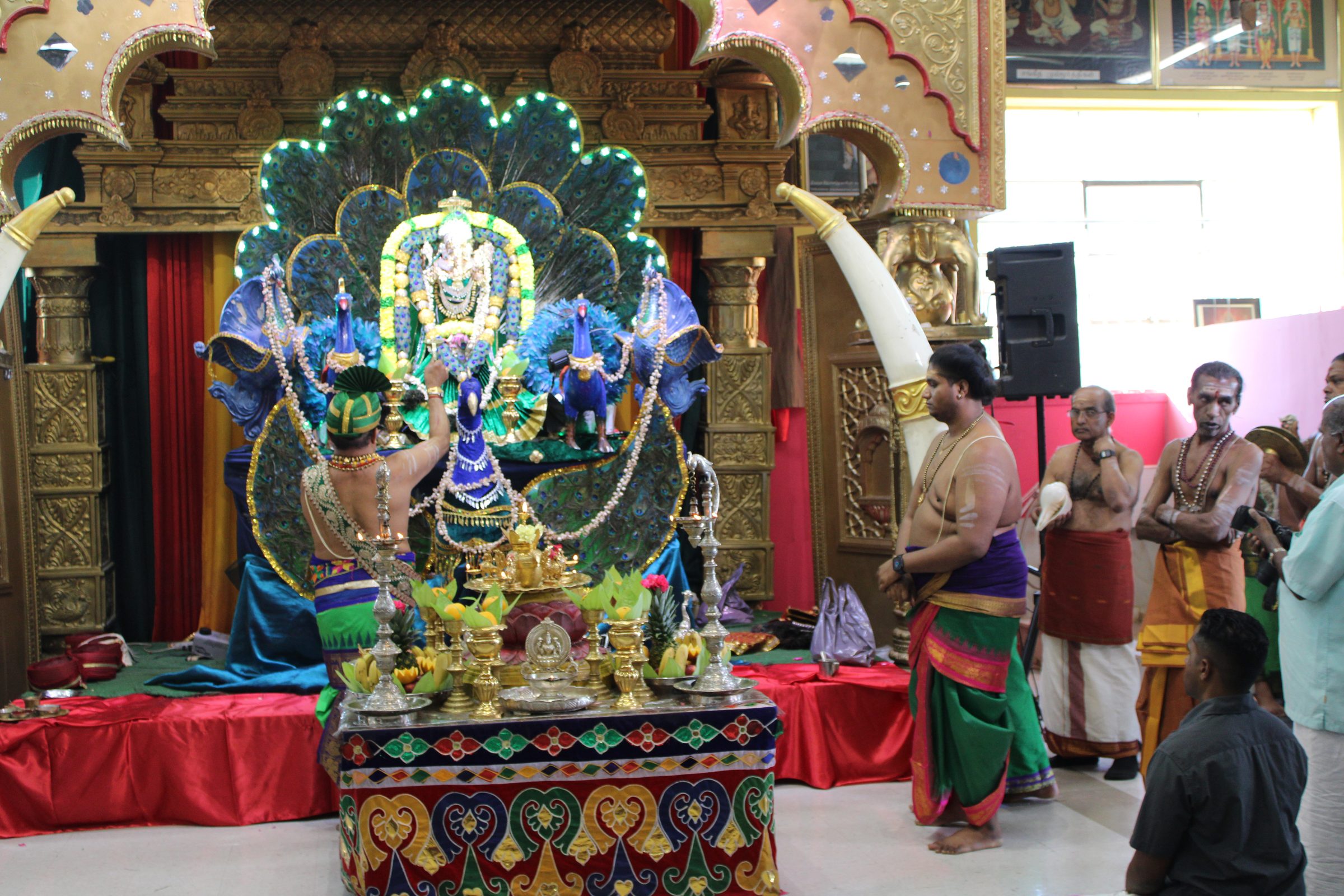 Festival 2024 photo