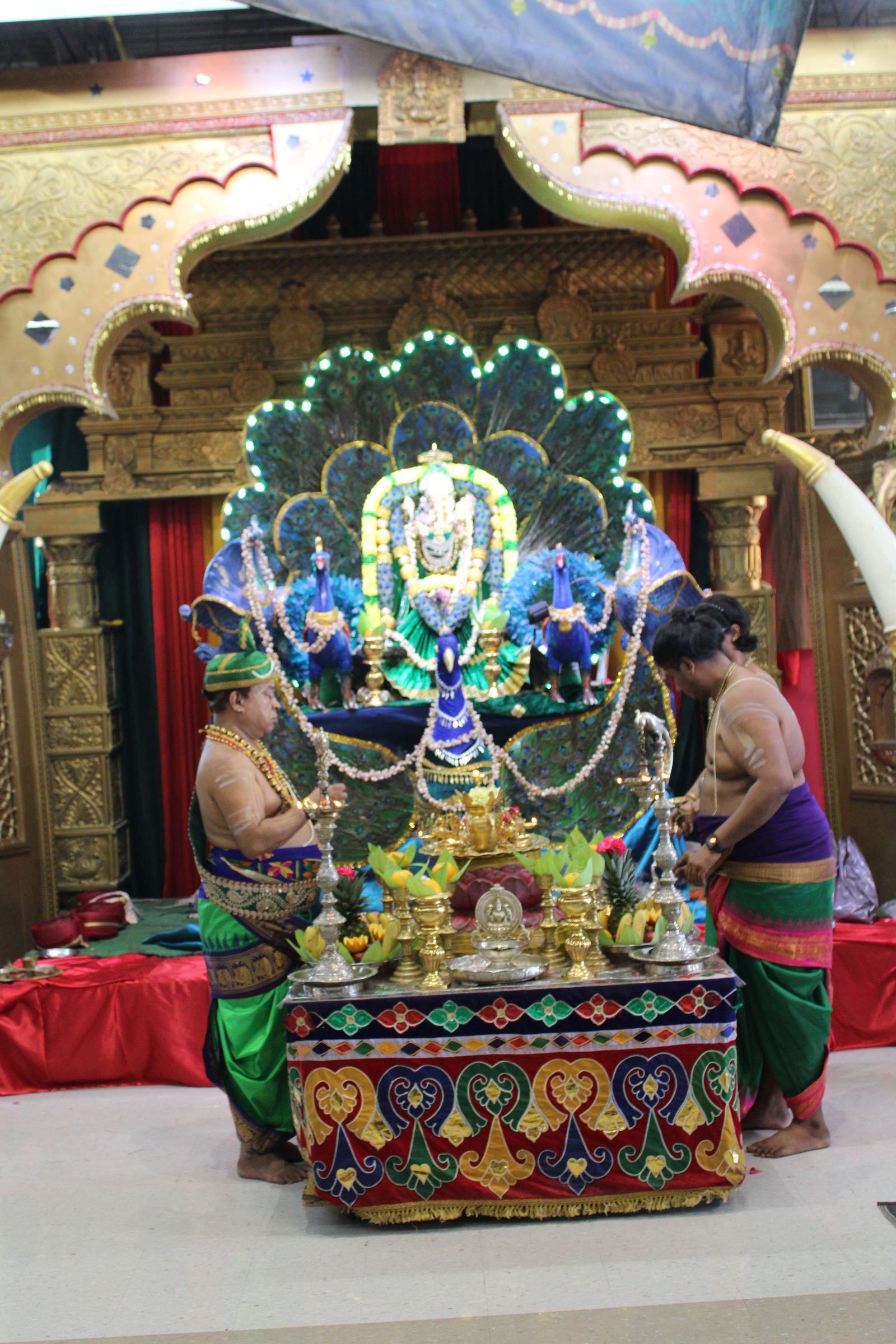 Festival 2024 photo