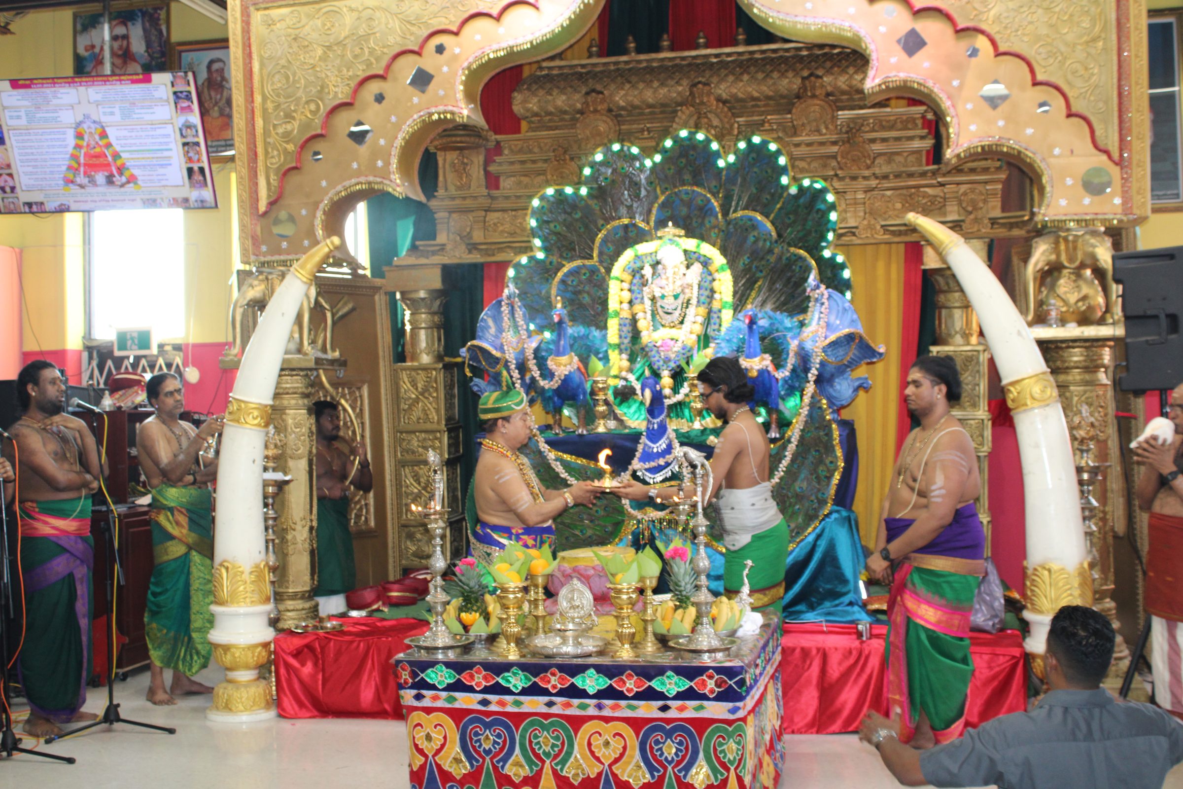 Festival 2024 photo