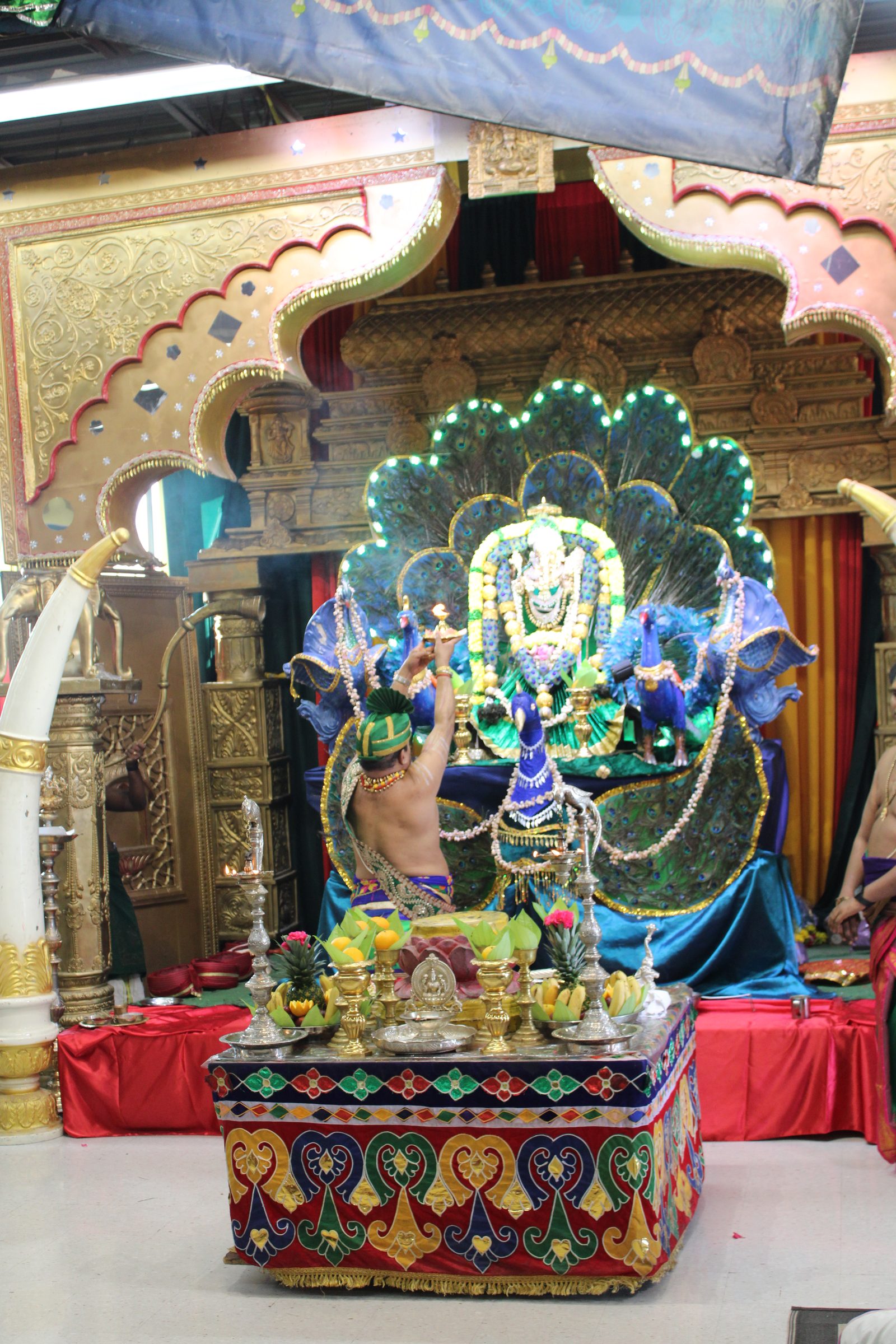 Festival 2024 photo
