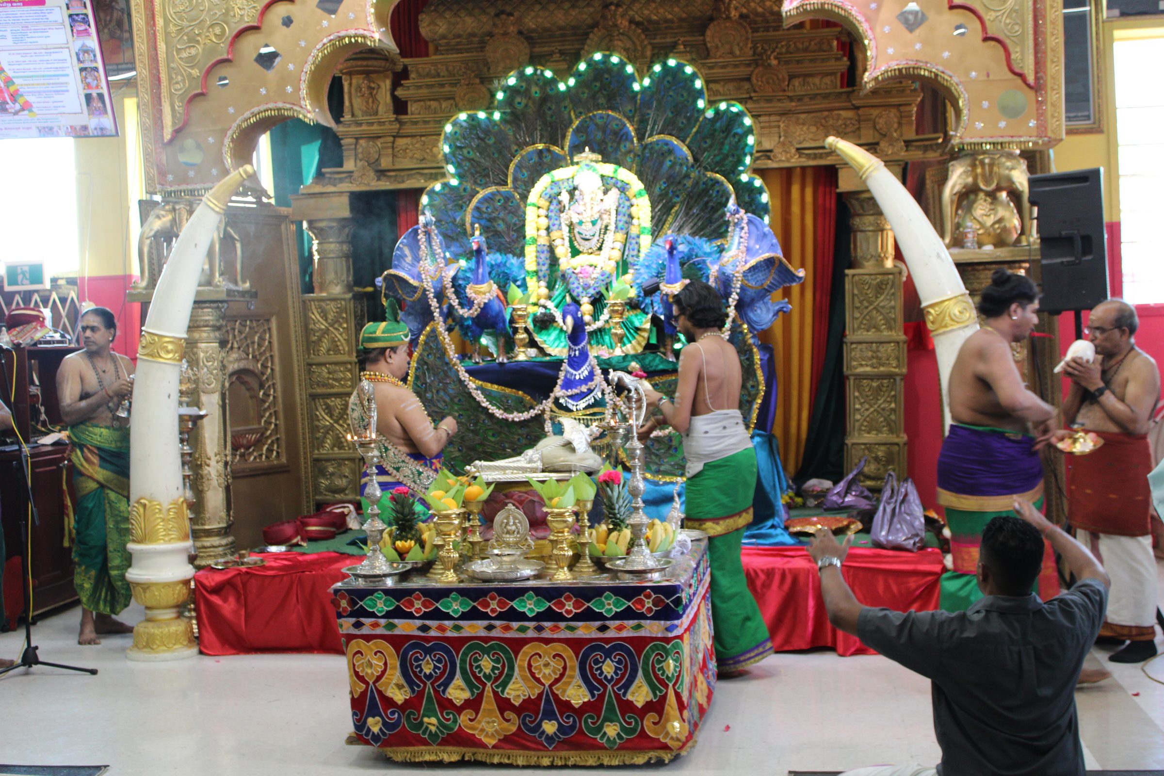 Festival 2024 photo