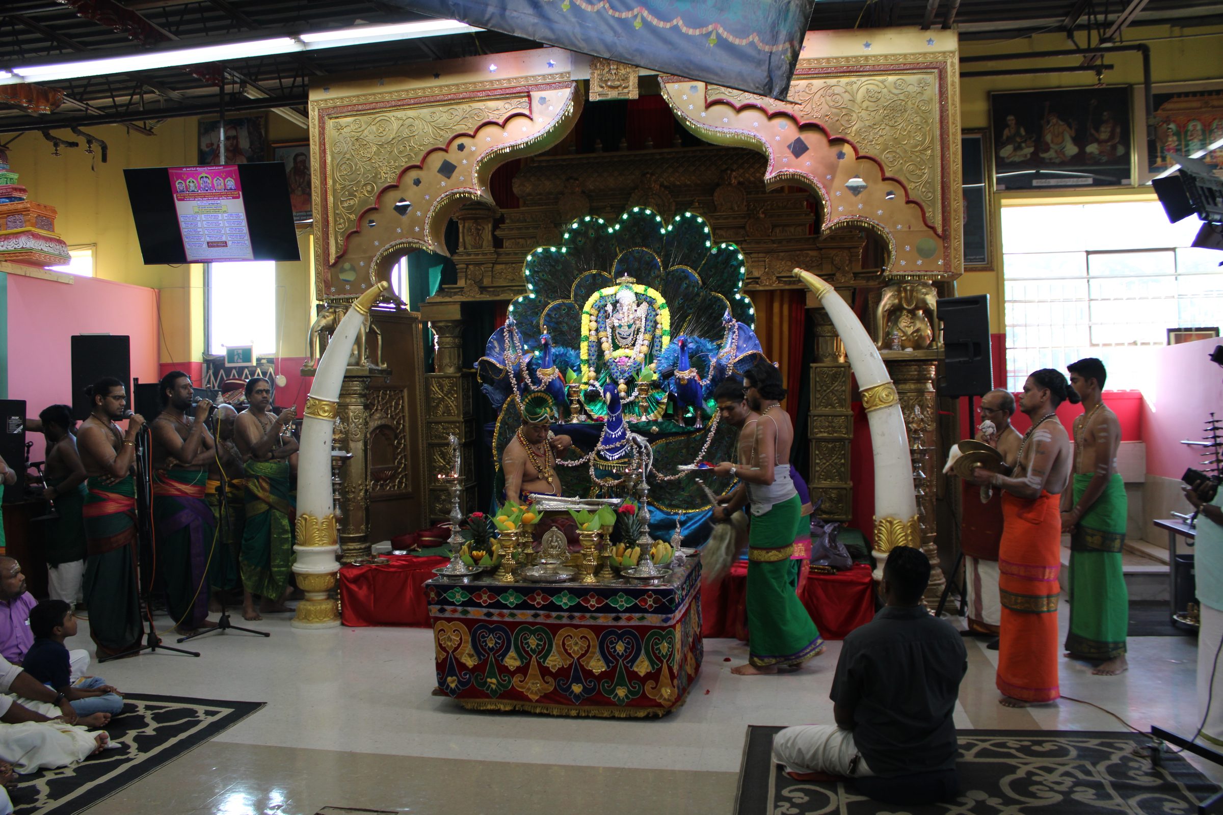 Festival 2024 photo