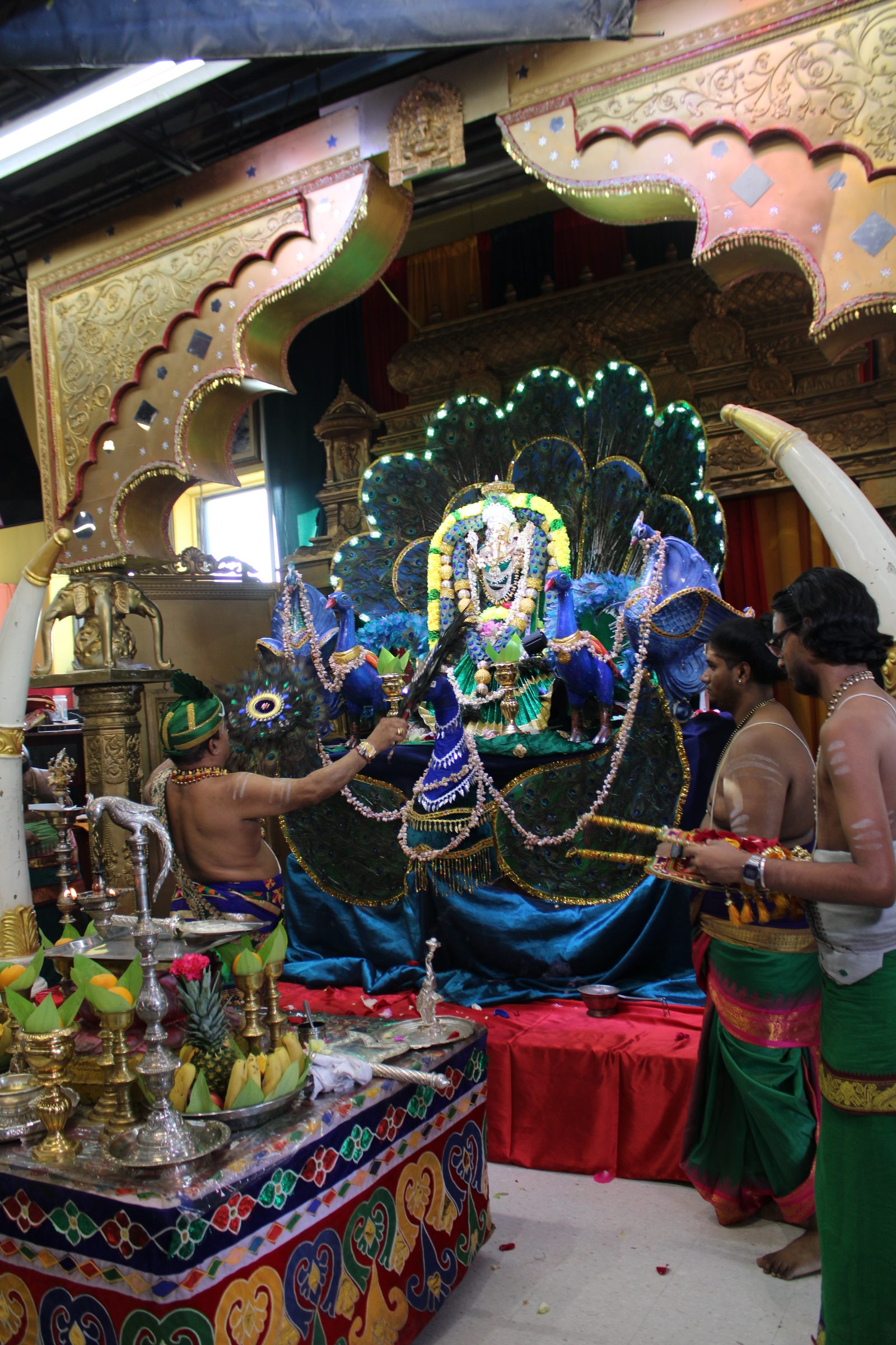 Festival 2024 photo