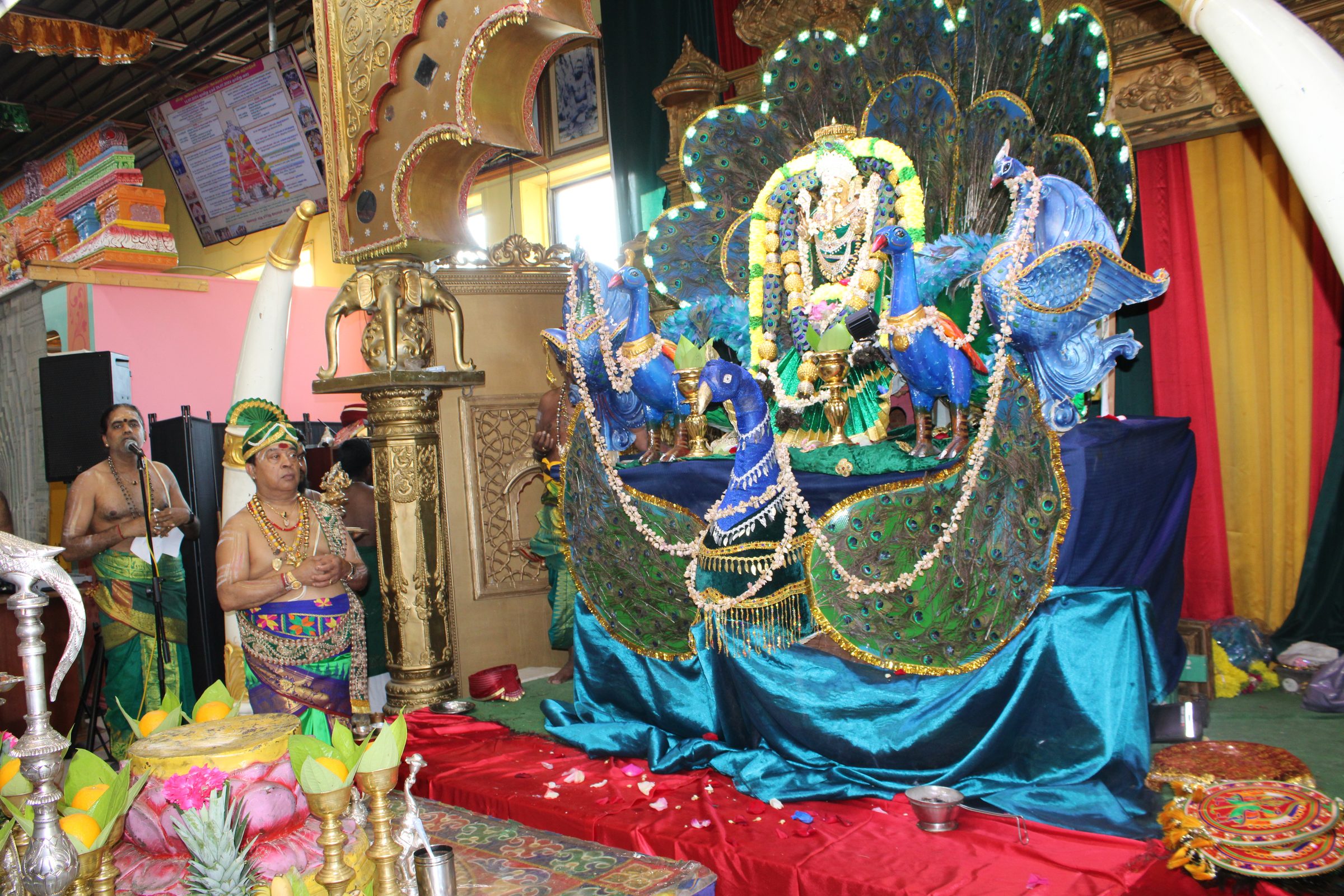 Festival 2024 photo