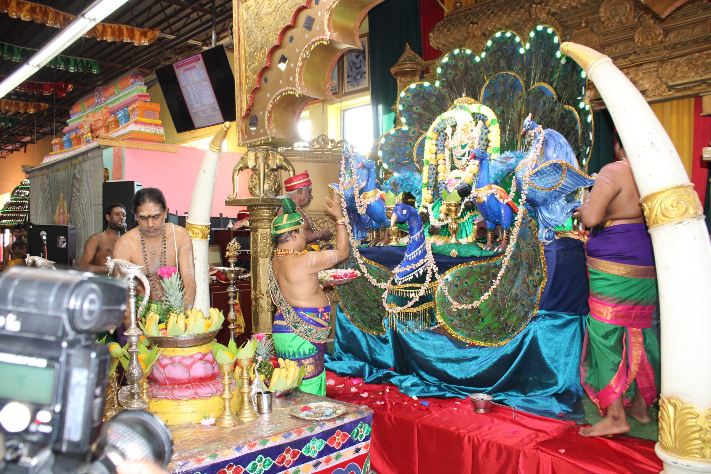 Festival 2024 photo