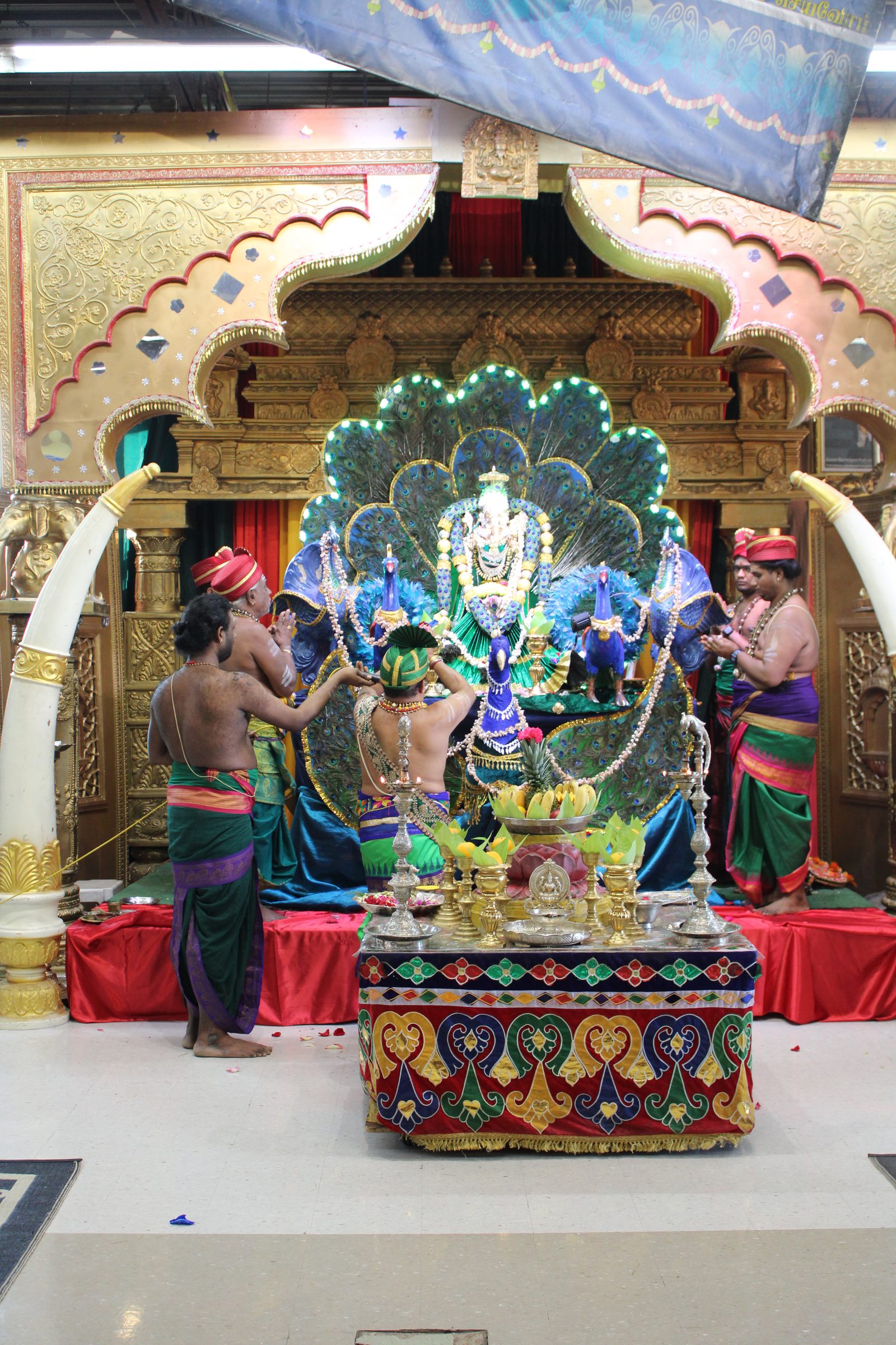Festival 2024 photo