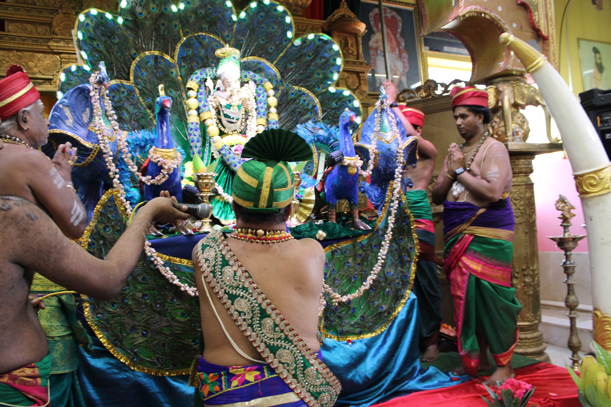 Festival 2024 photo