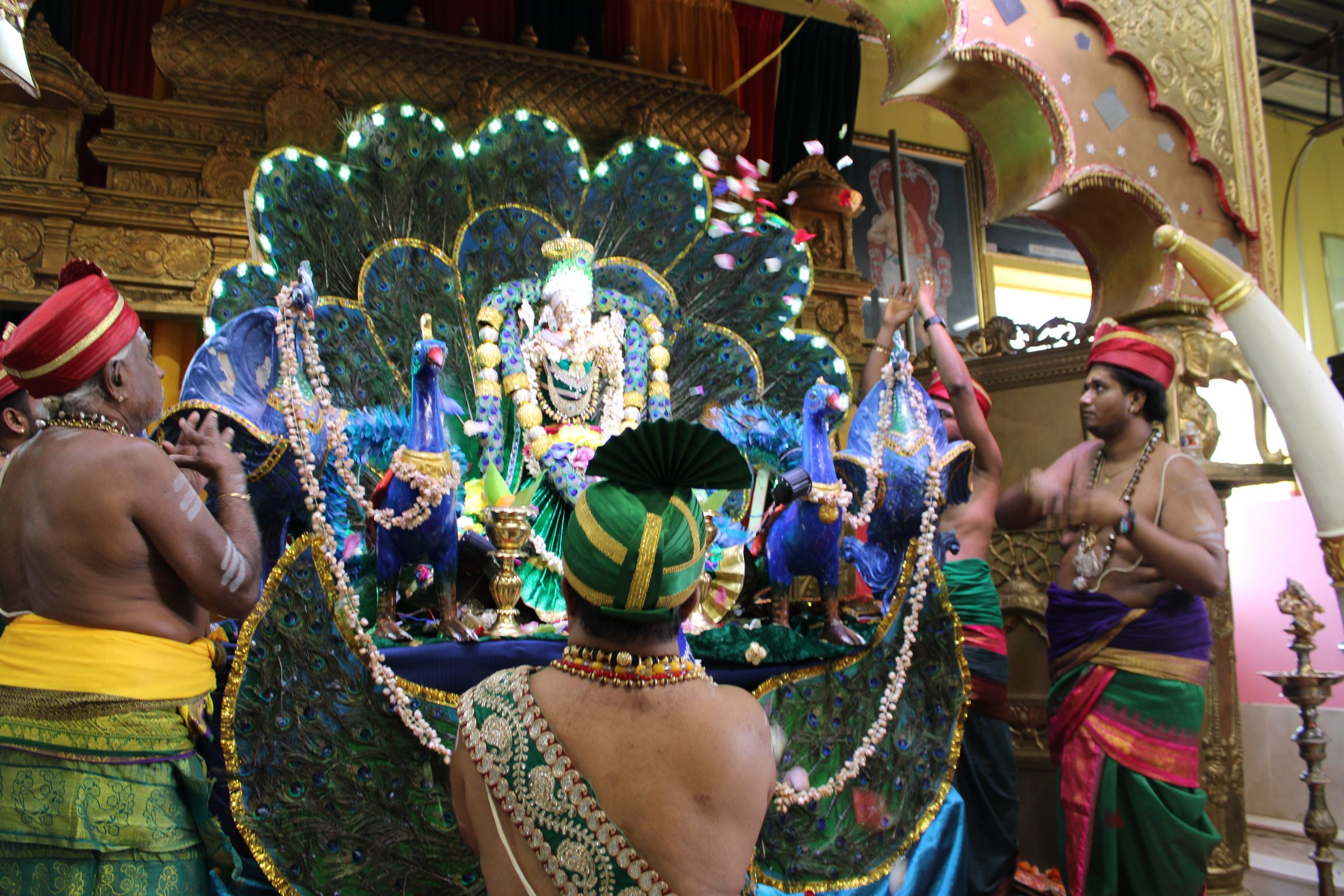 Festival 2024 photo