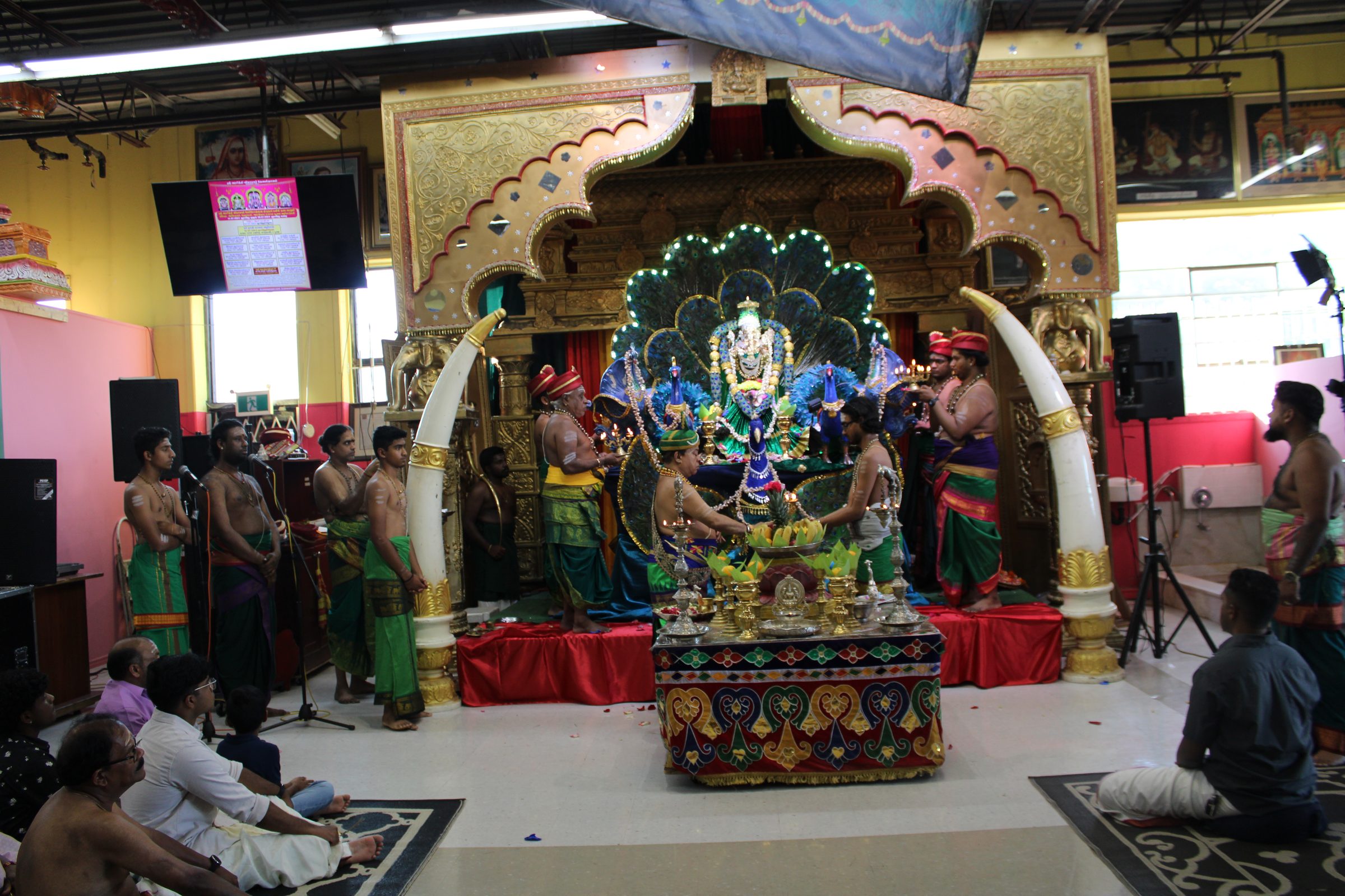 Festival 2024 photo