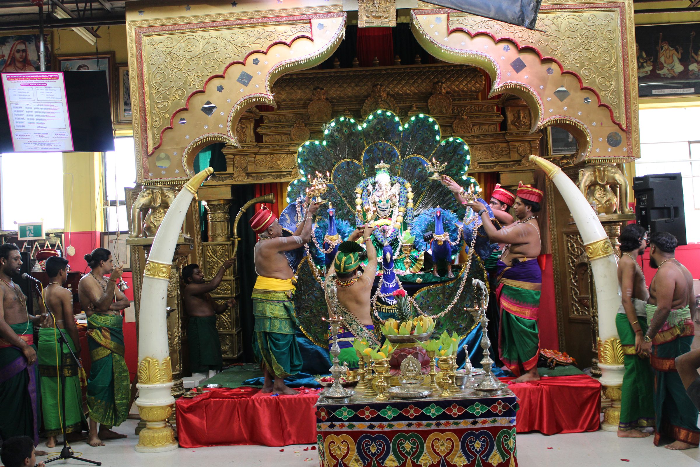 Festival 2024 photo