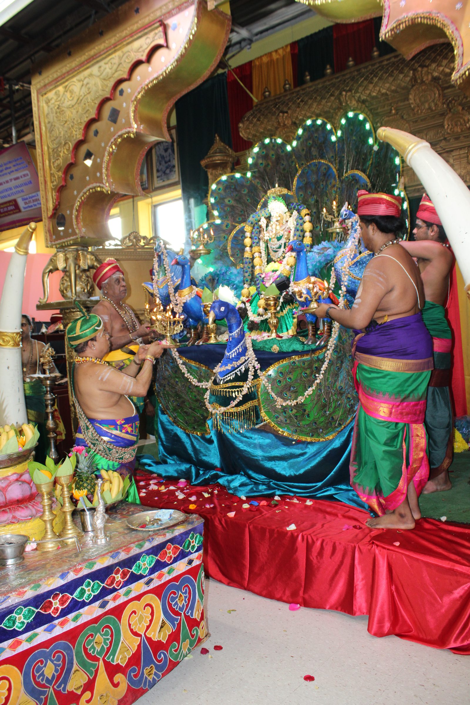 Festival 2024 photo