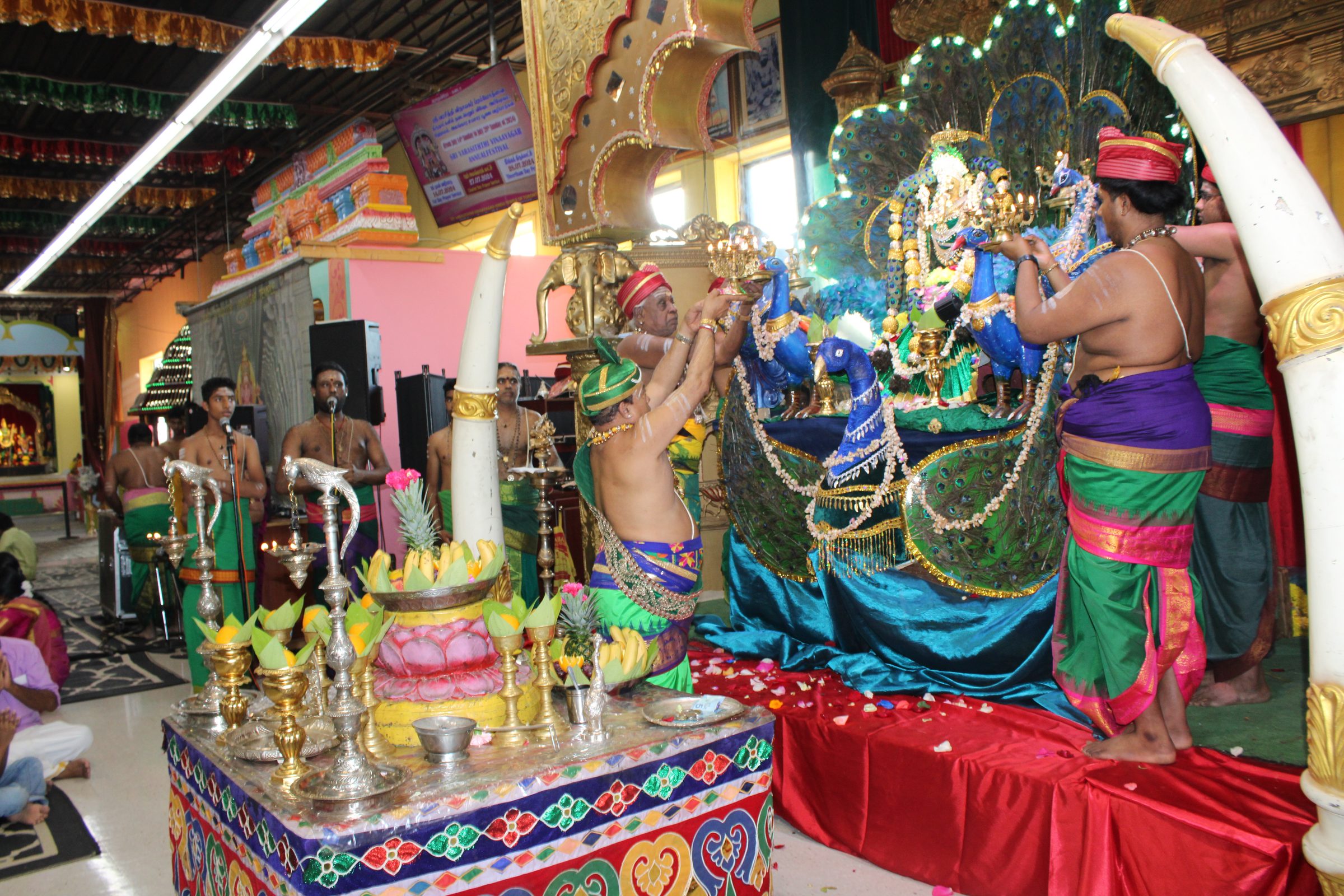 Festival 2024 photo