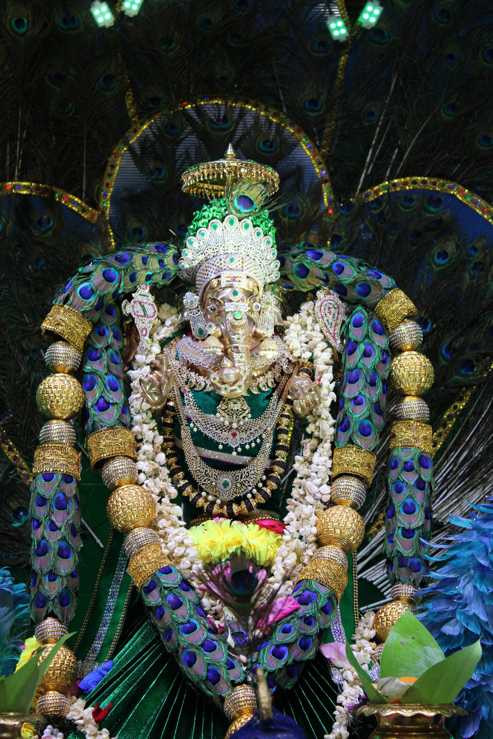 Festival 2024 photo