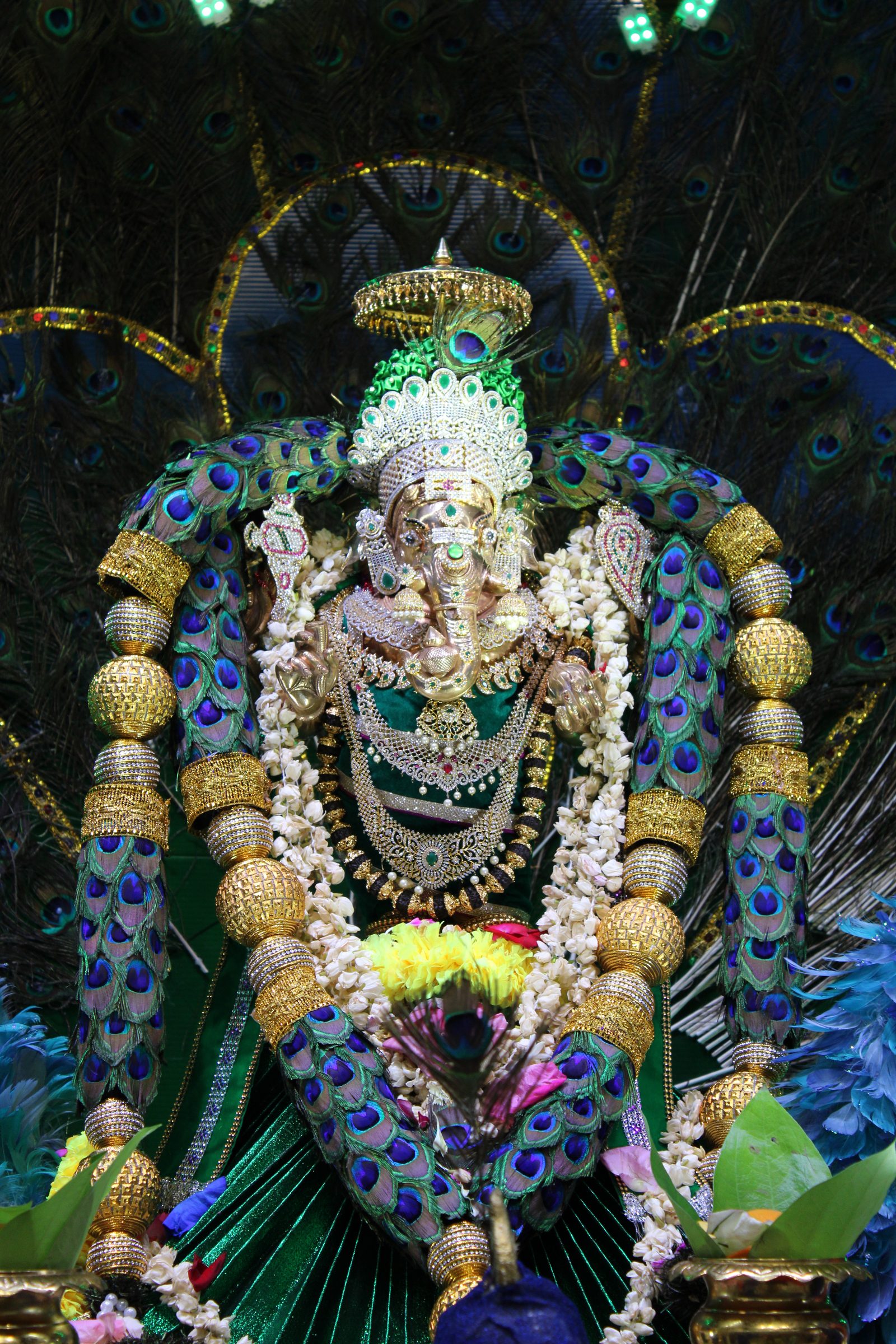 Festival 2024 photo