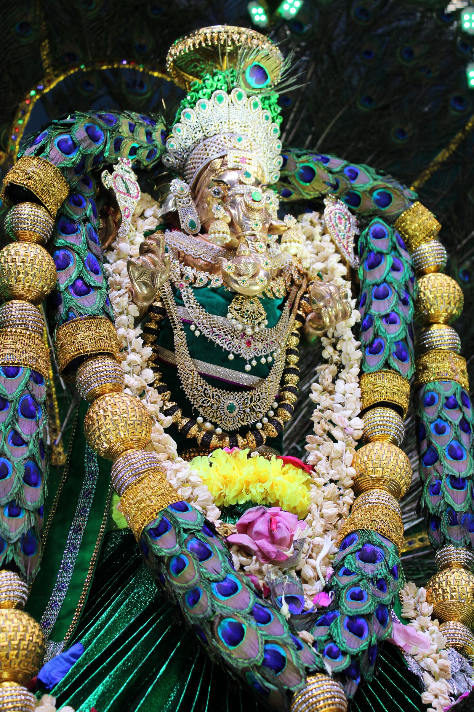 Festival 2024 photo