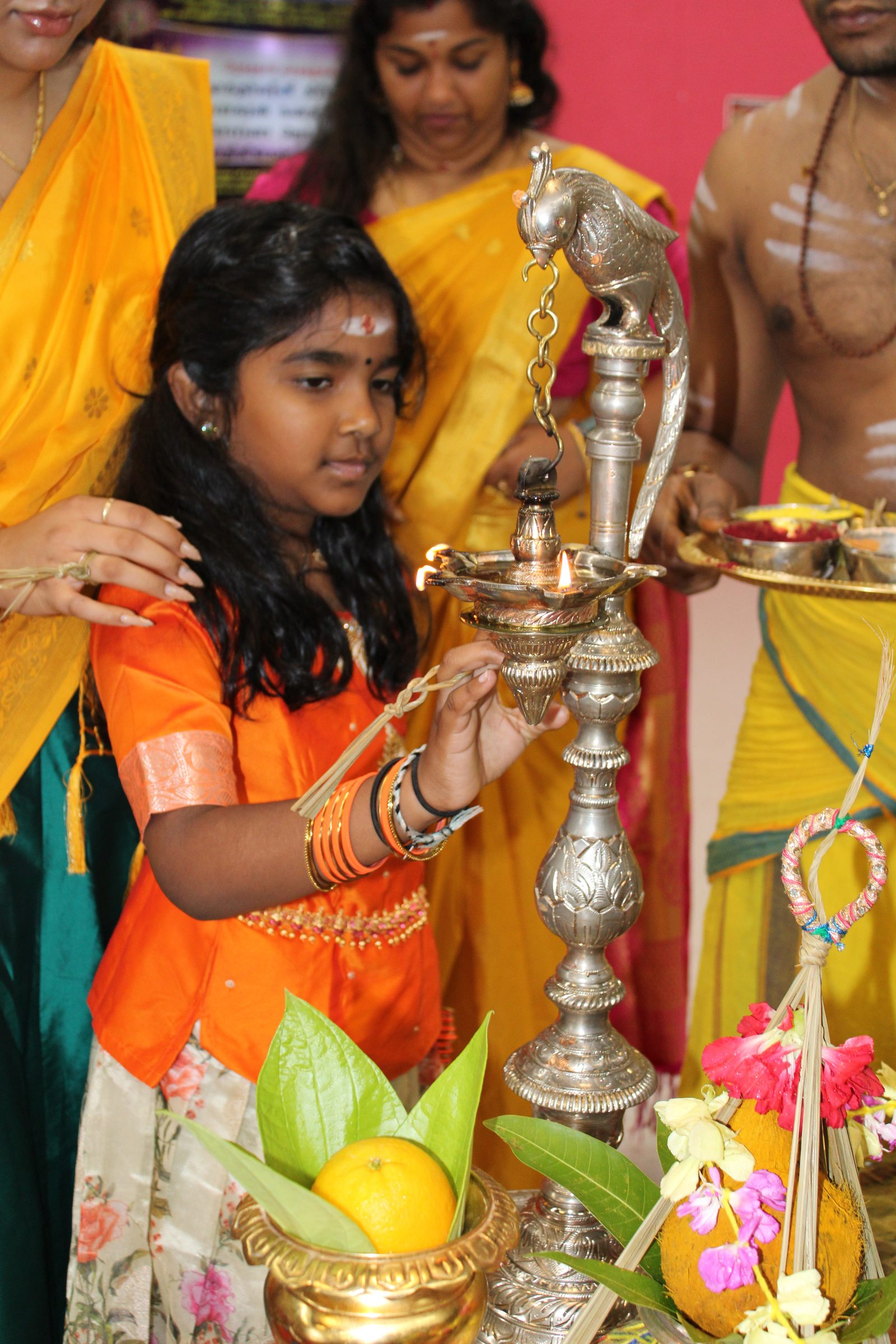 Festival 2024 photo