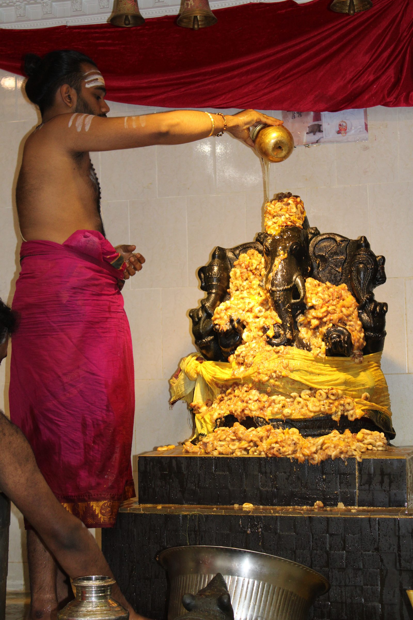 Festival 2024 photo
