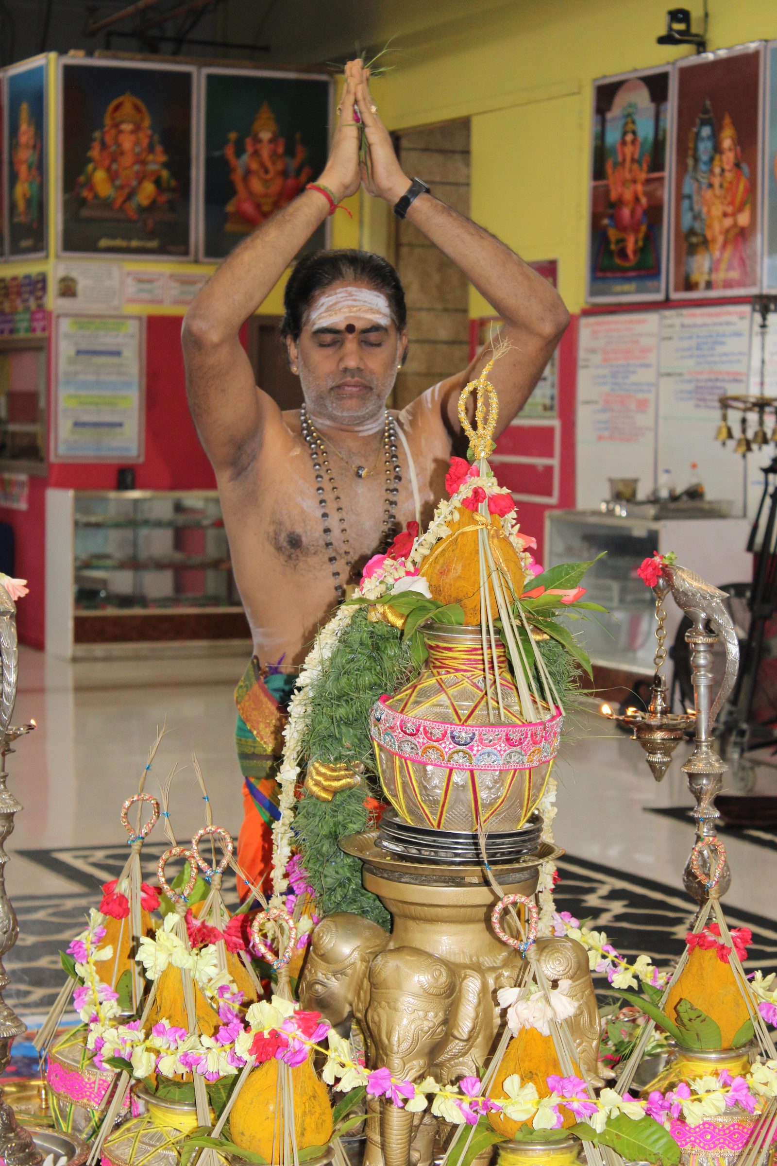 Festival 2024 photo