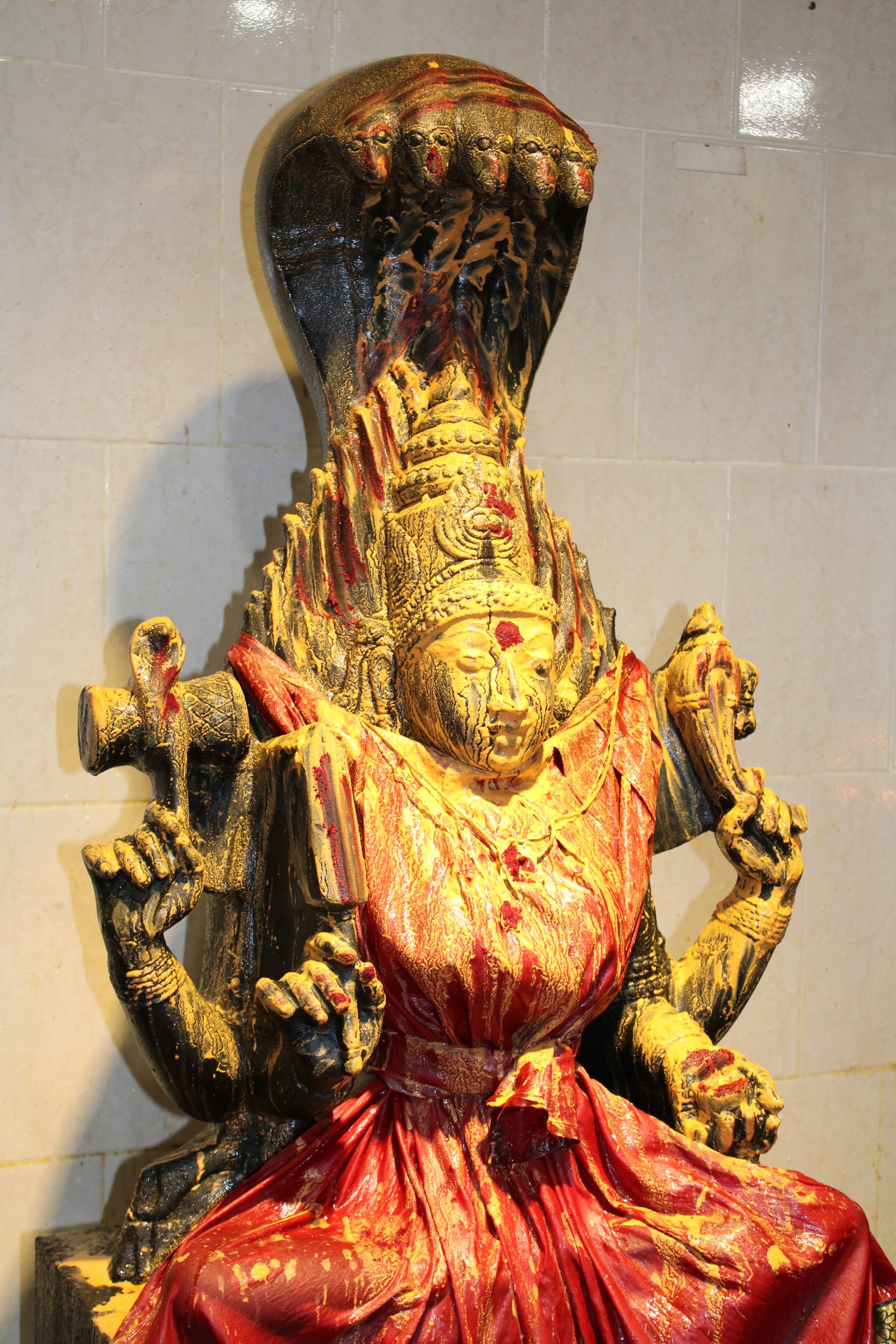 Festival 2024 photo