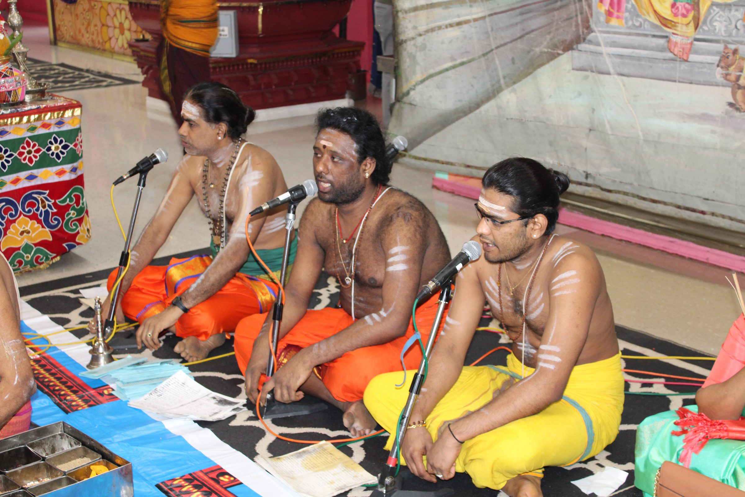 Festival 2024 photo