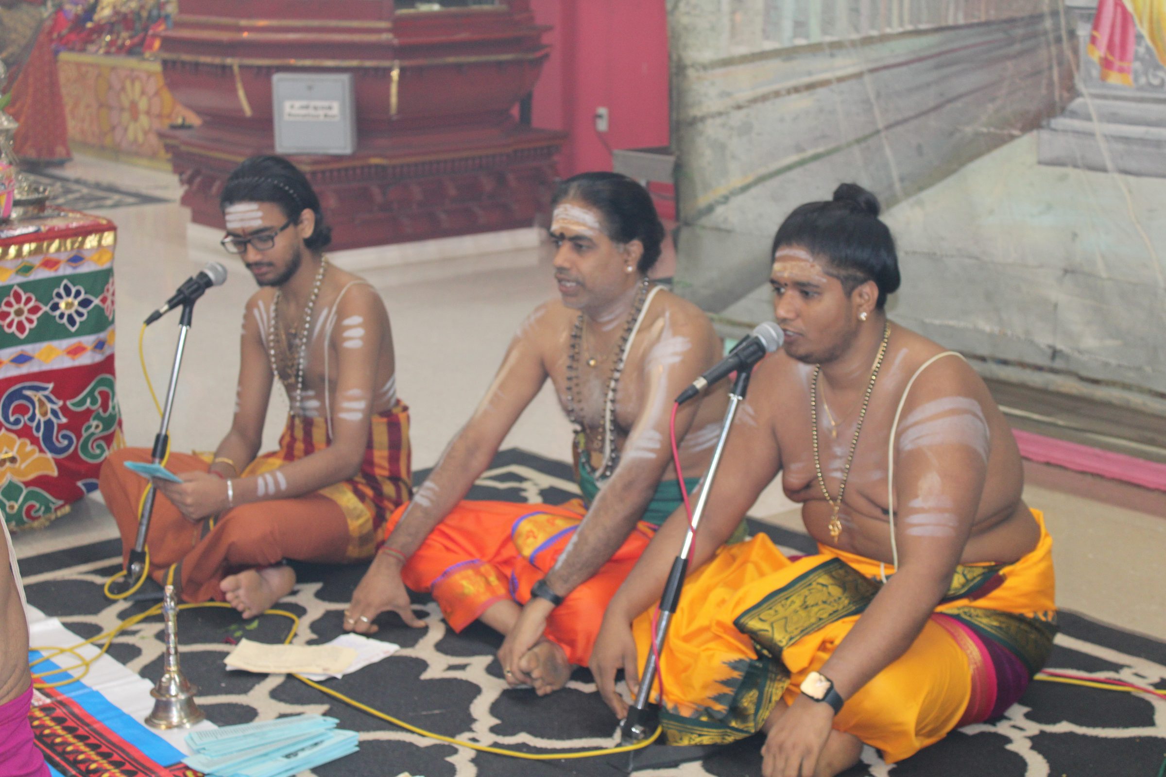 Festival 2024 photo