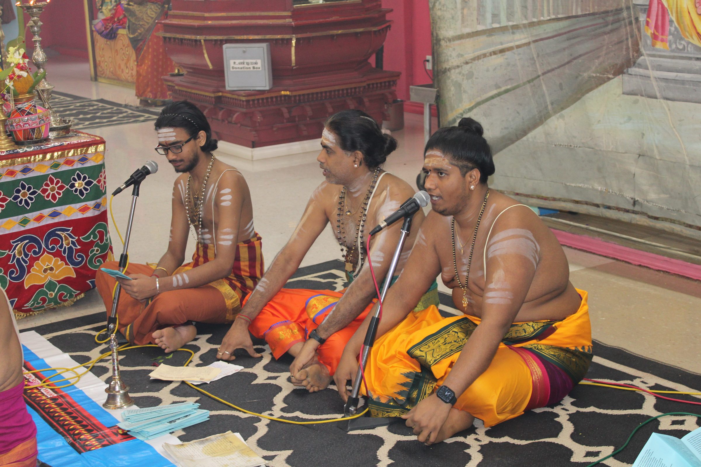 Festival 2024 photo