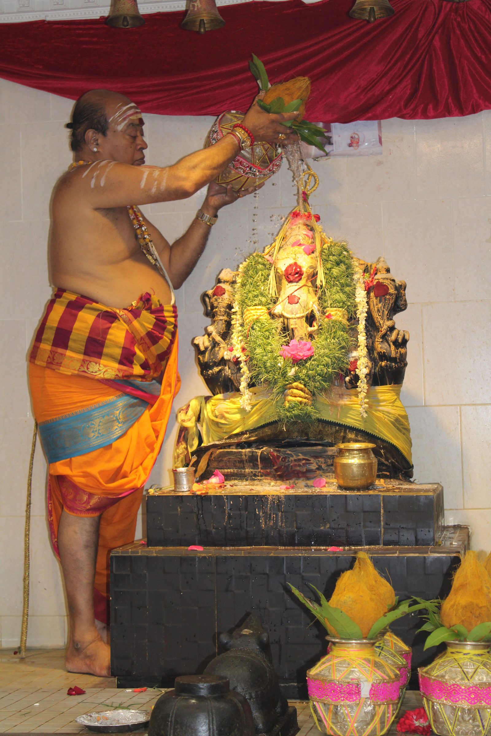 Festival 2024 photo