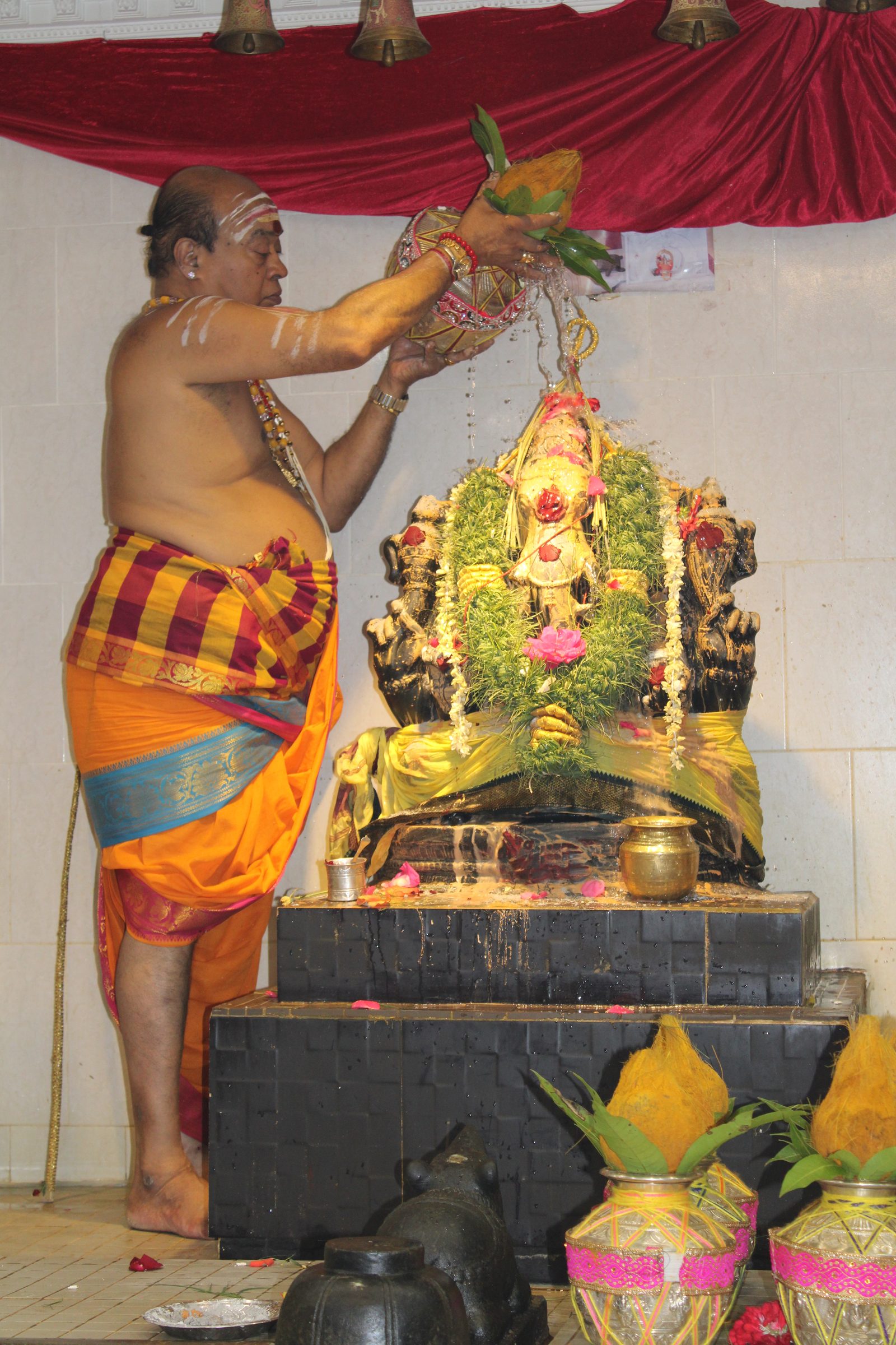Festival 2024 photo