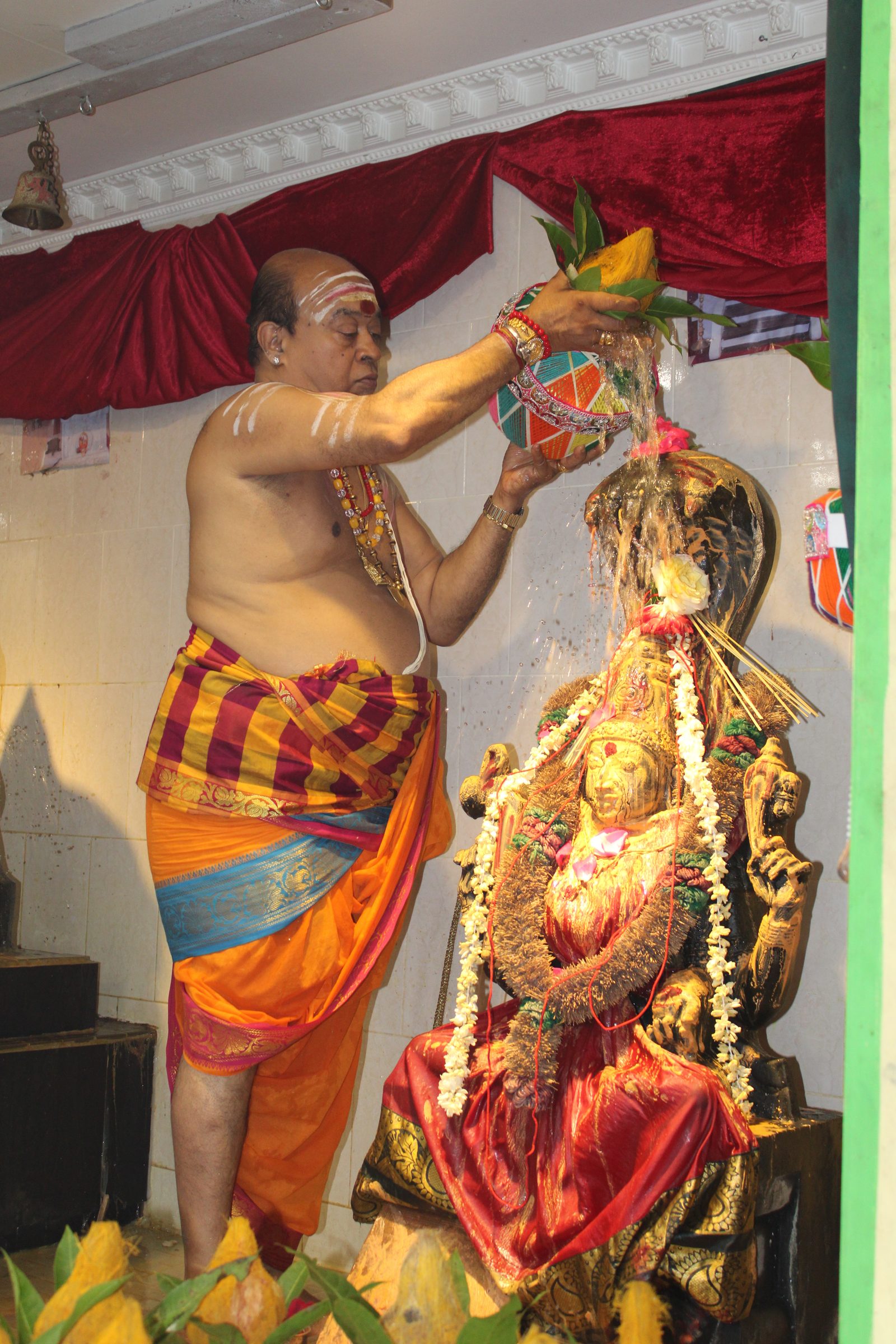 Festival 2024 photo