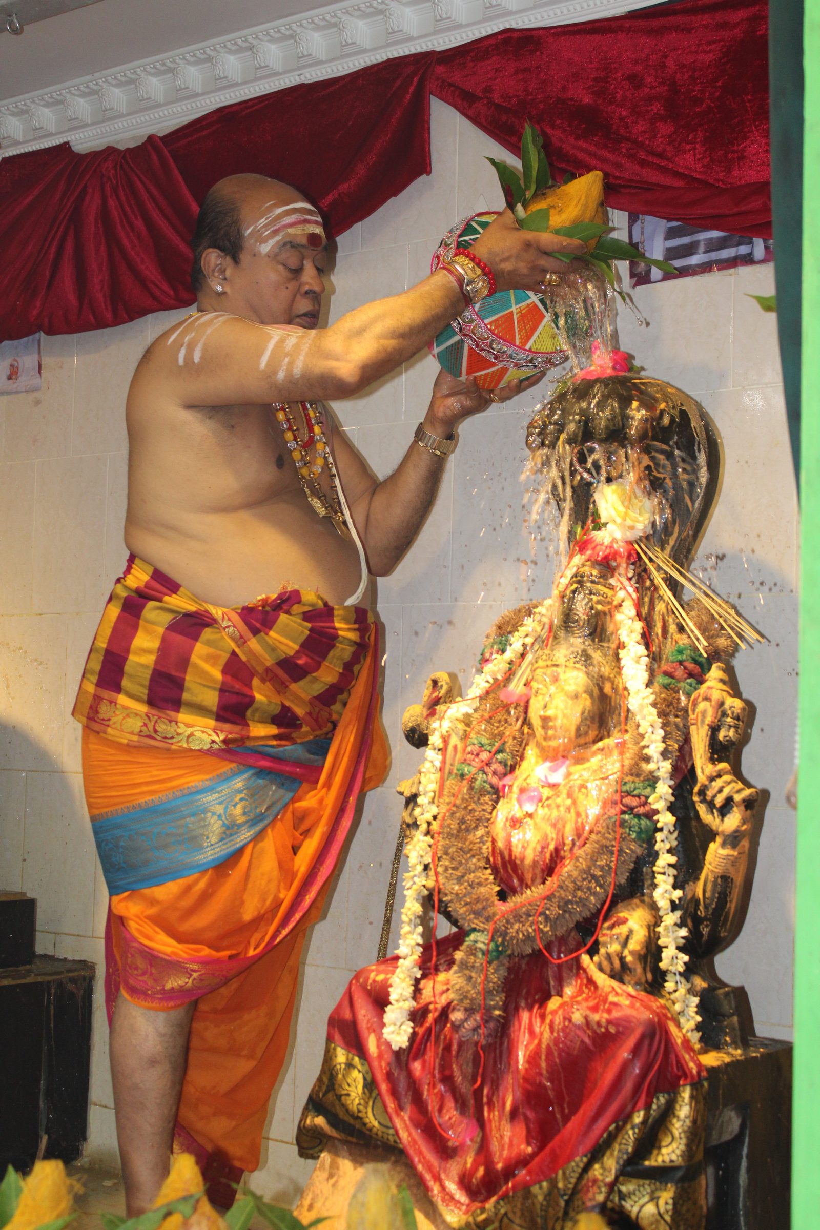 Festival 2024 photo