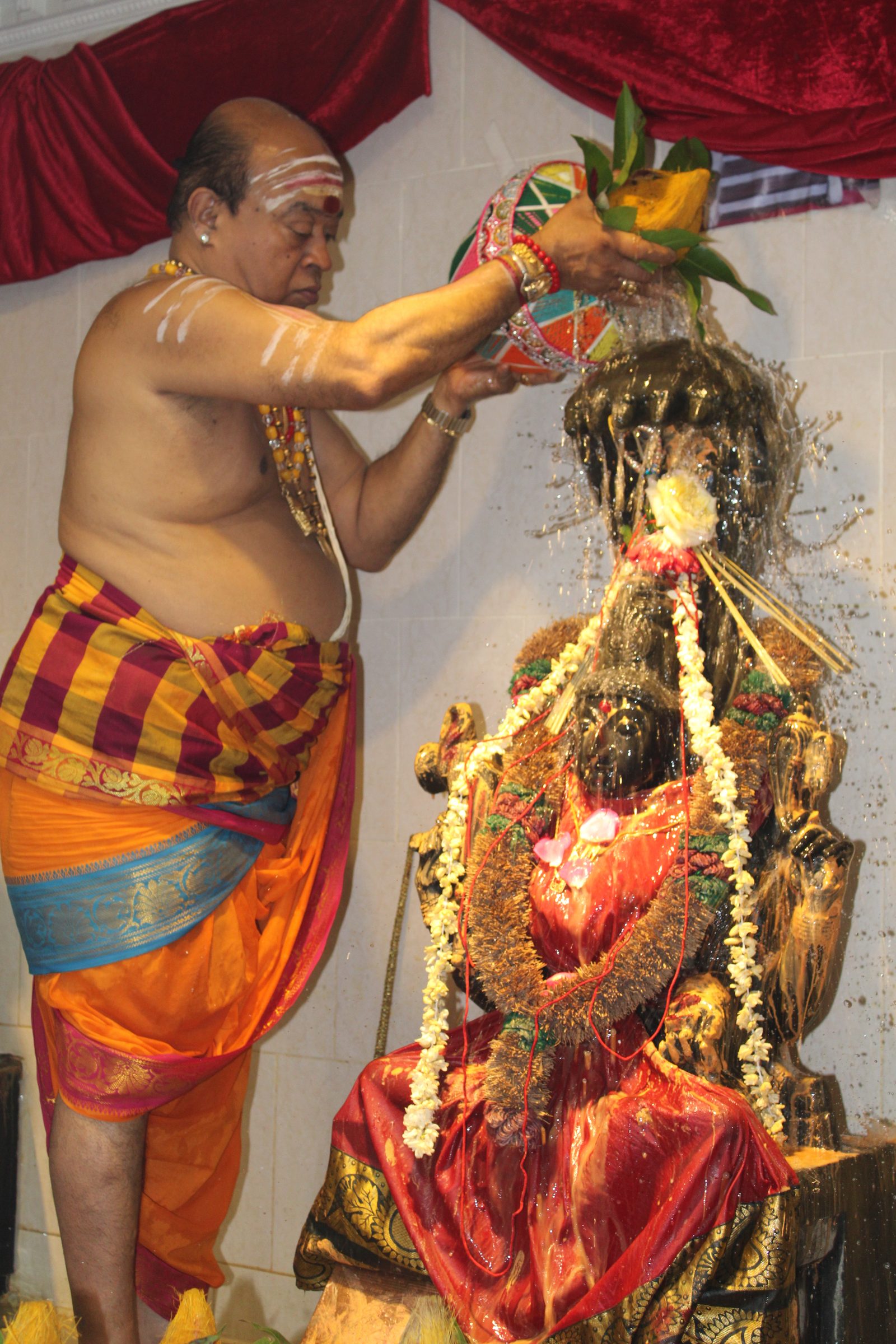 Festival 2024 photo