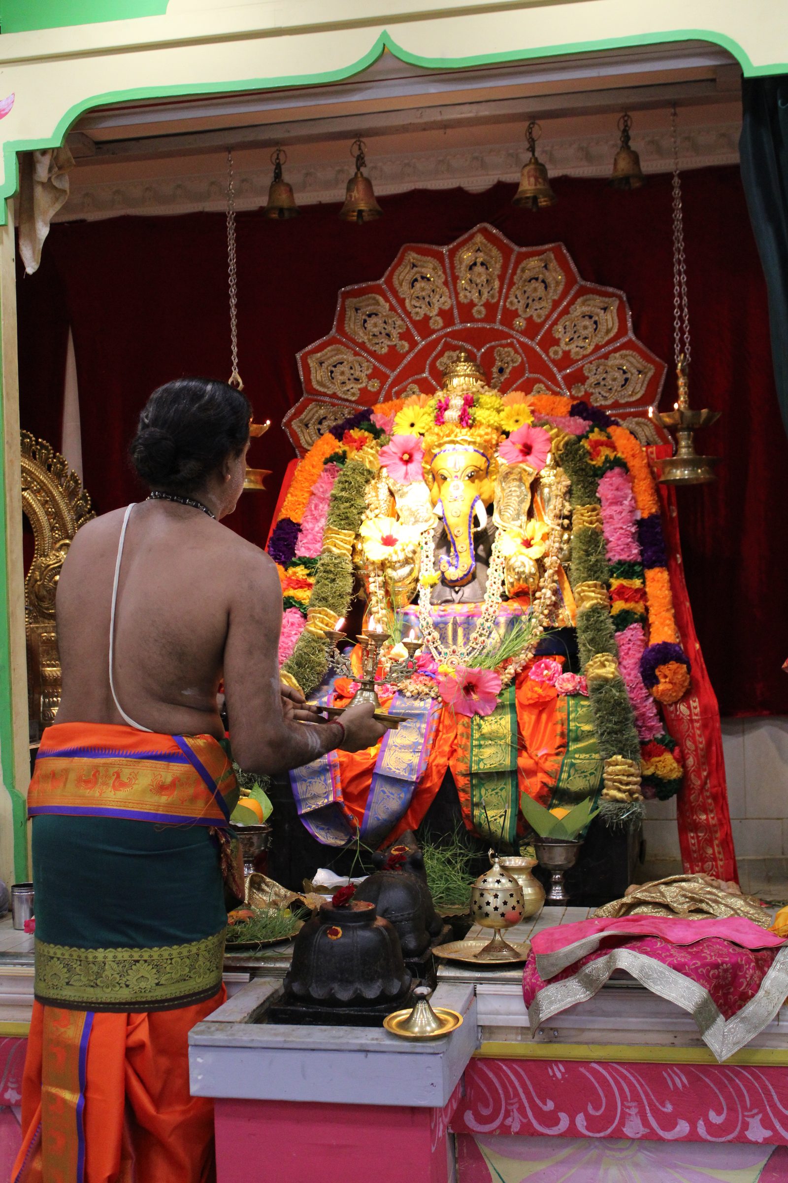 Festival 2024 photo