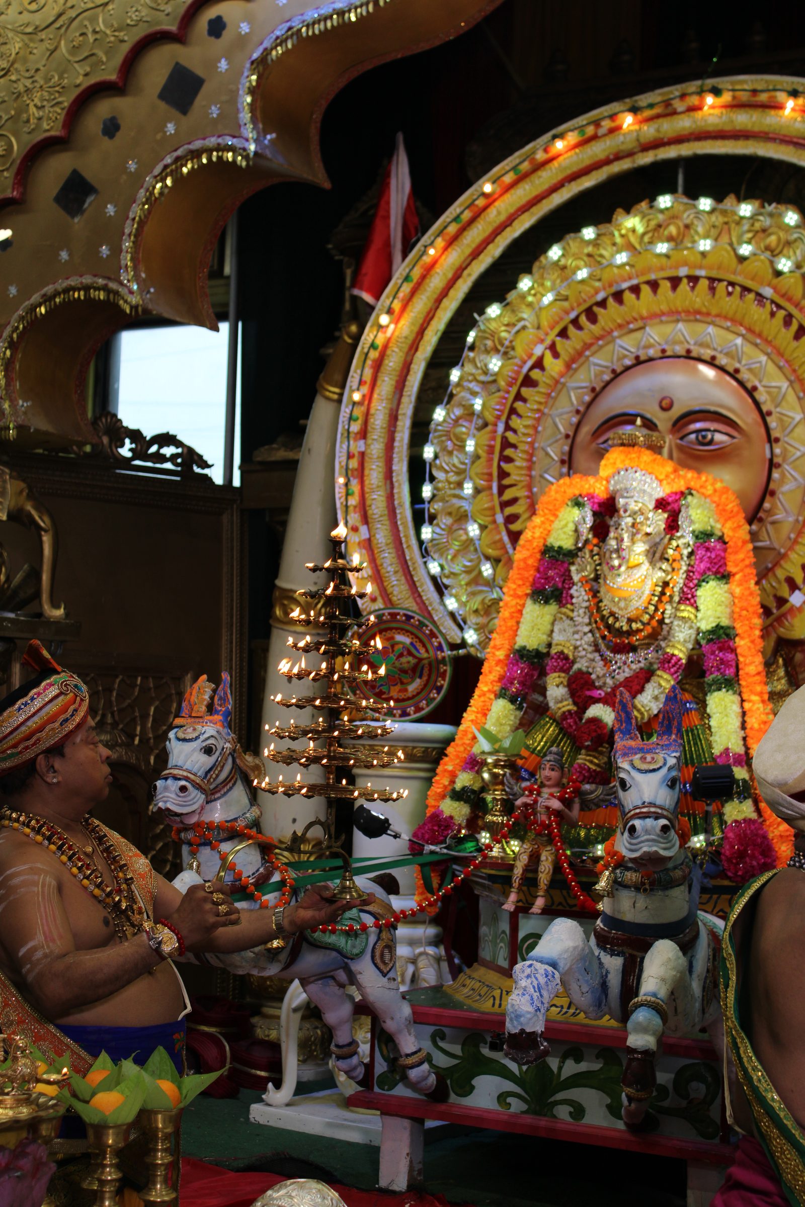 Festival 2024 photo