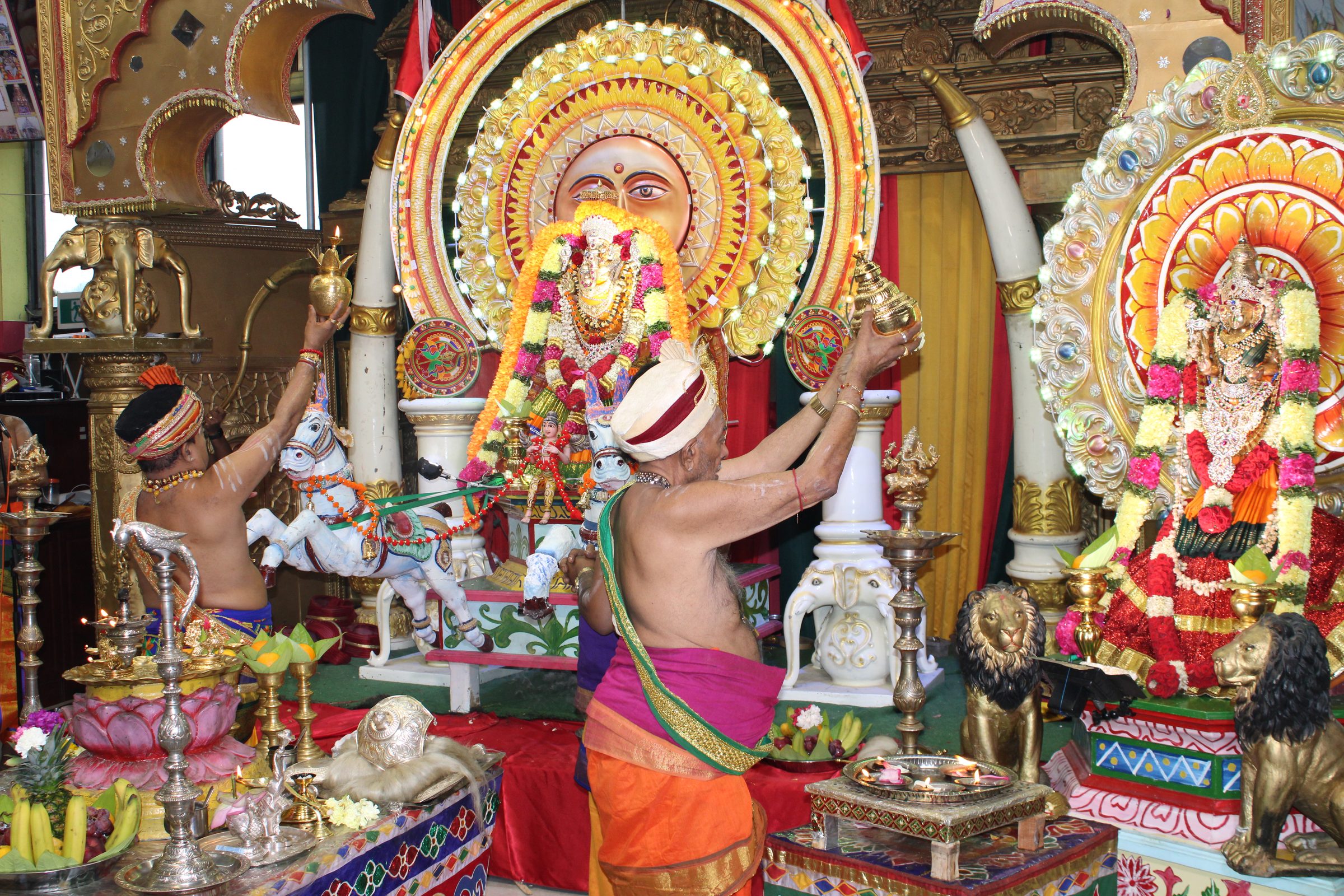 Festival 2024 photo