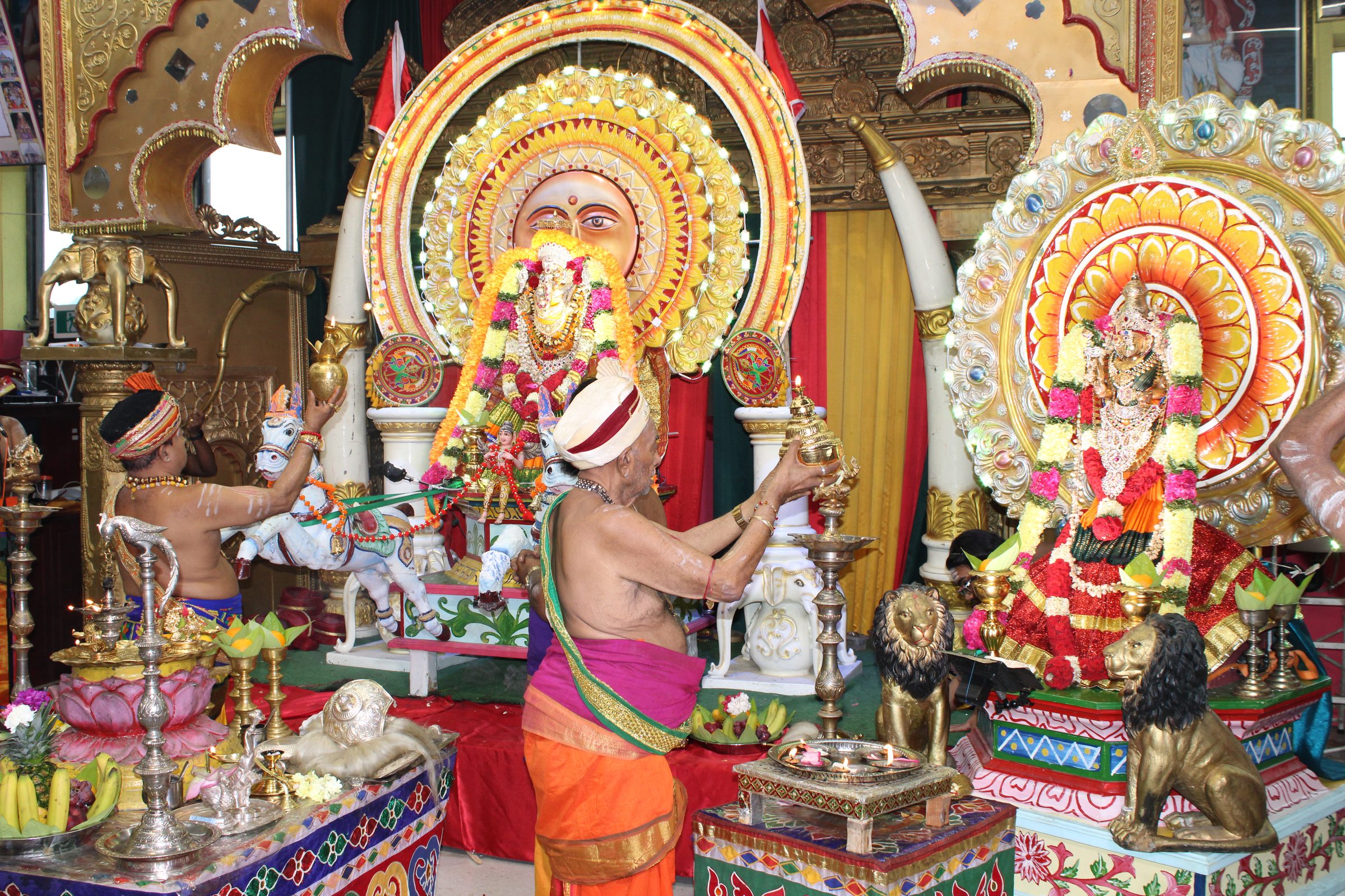 Festival 2024 photo