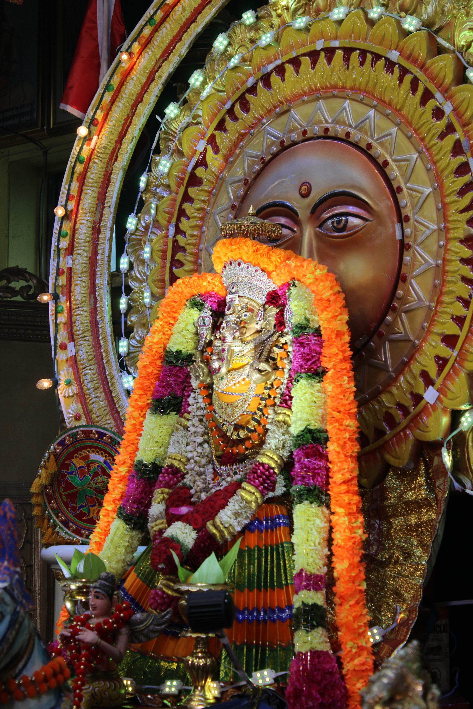 Festival 2024 photo