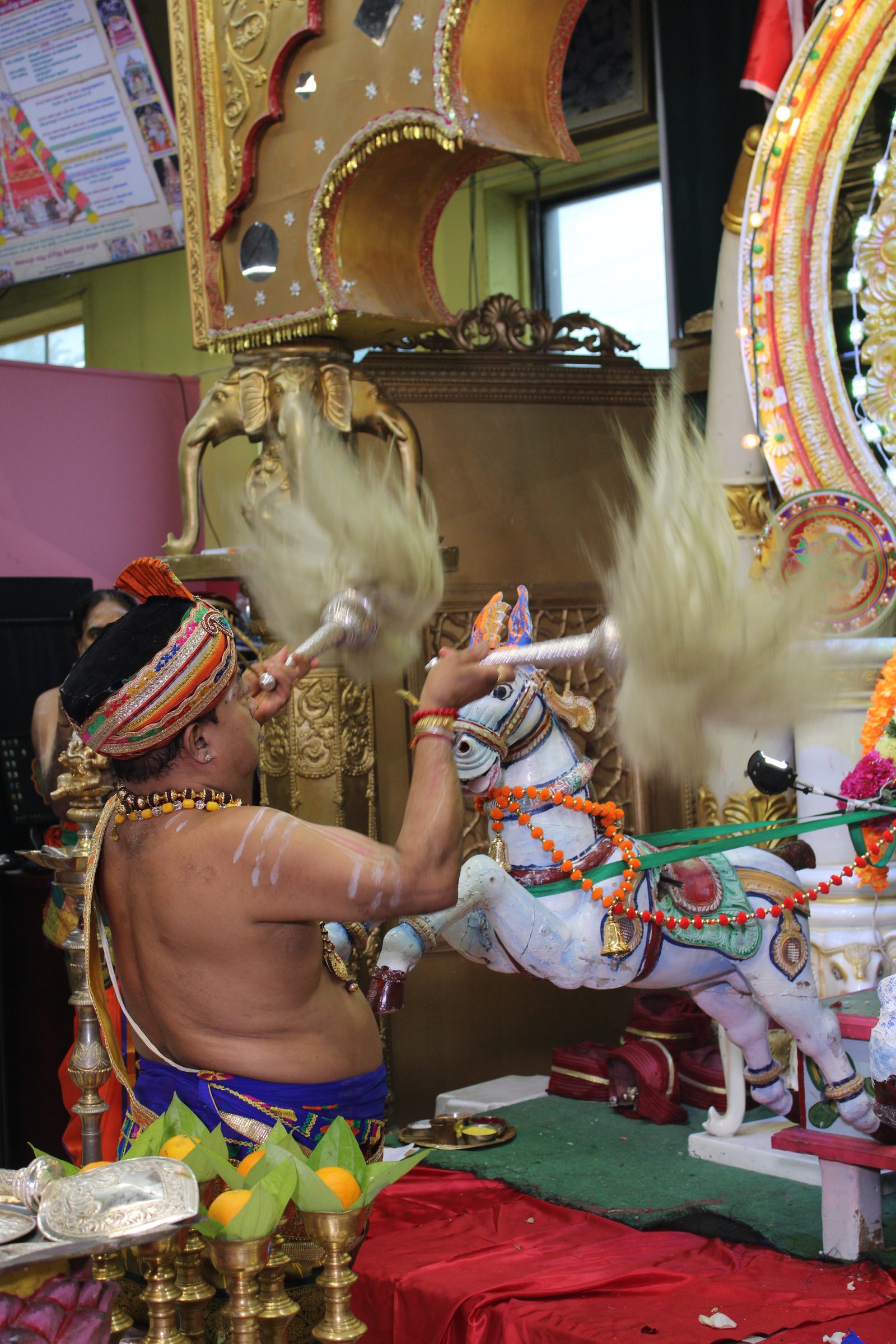 Festival 2024 photo