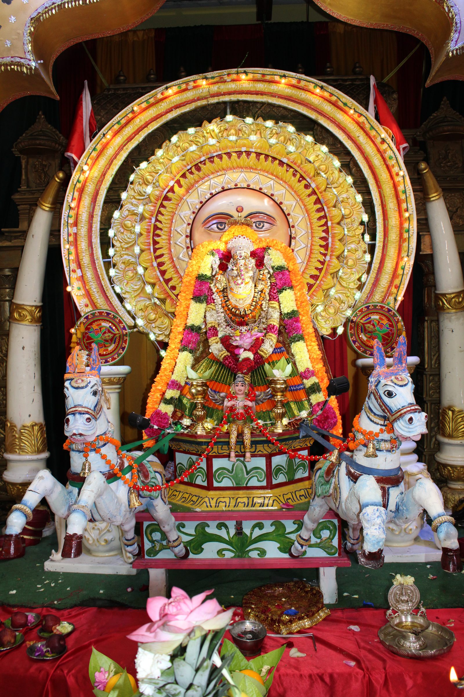 Festival 2024 photo
