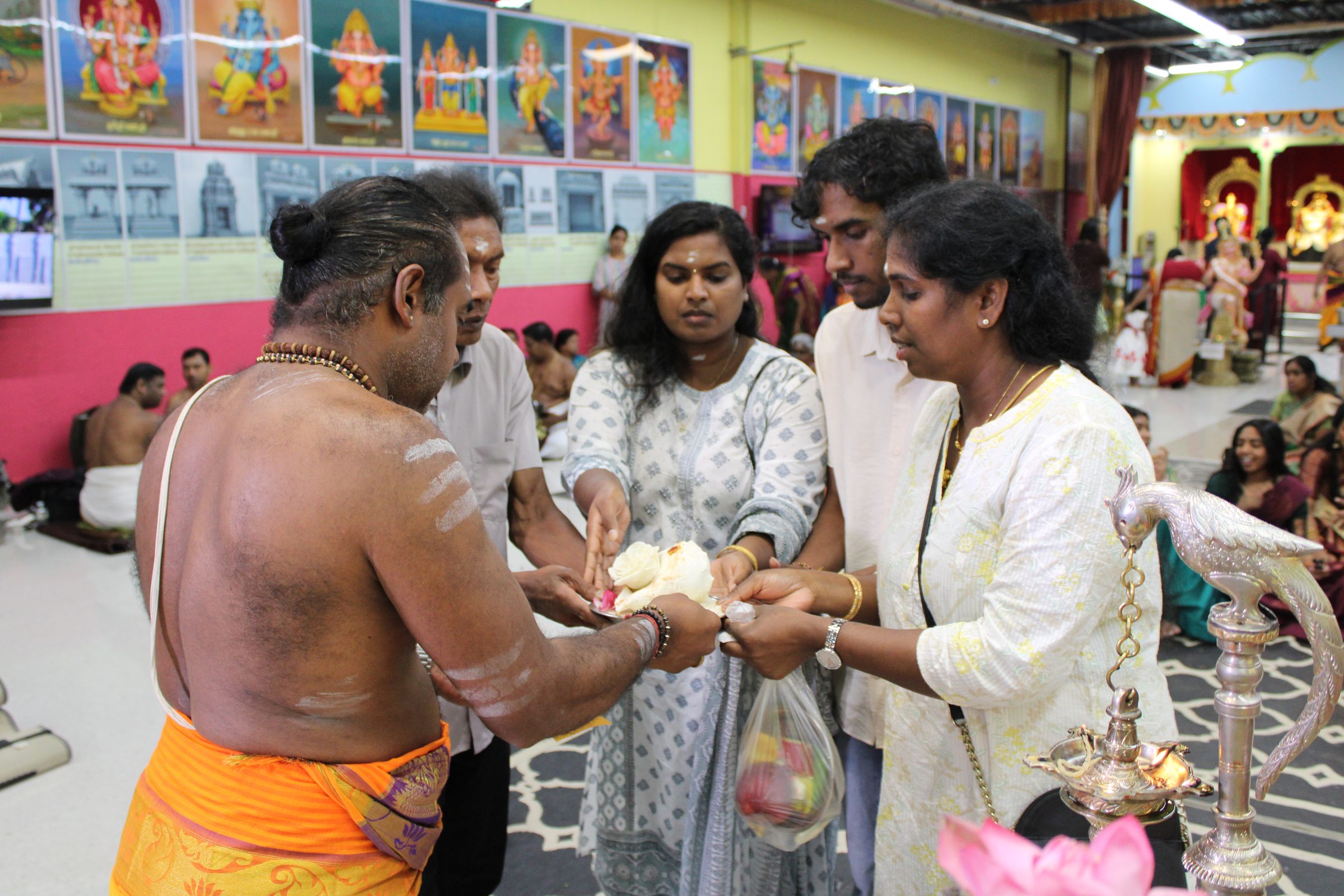 Festival 2024 photo