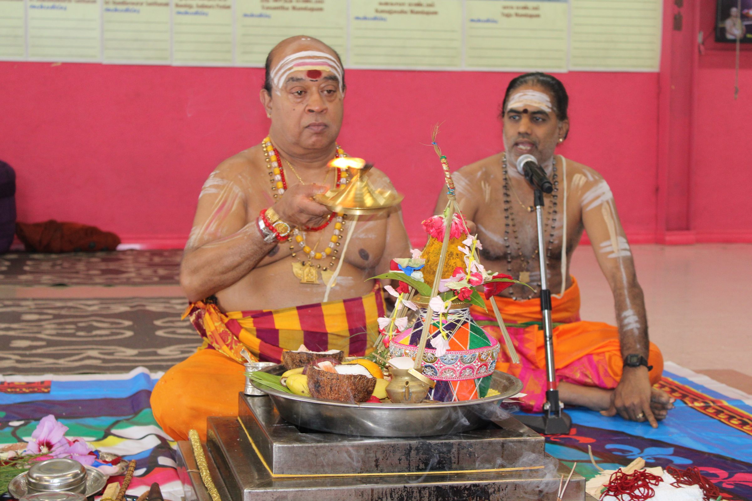 Festival 2024 photo