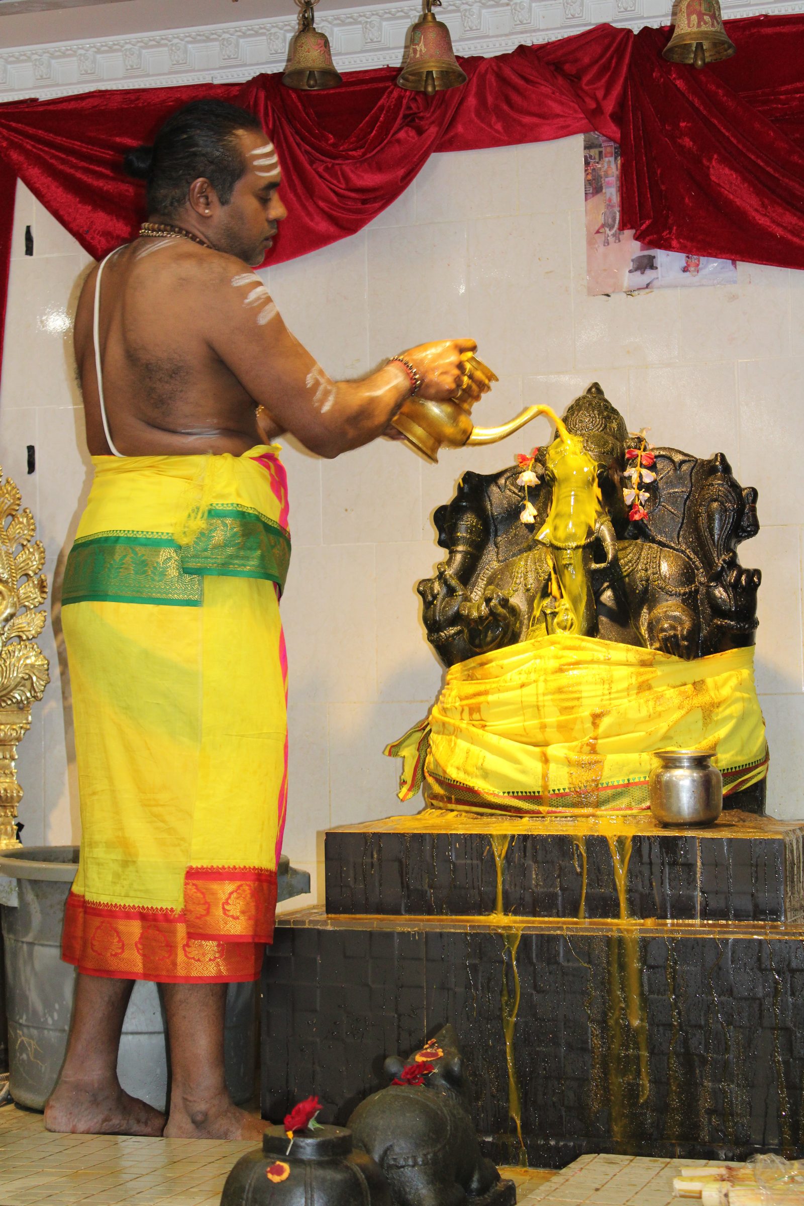 Festival 2024 photo