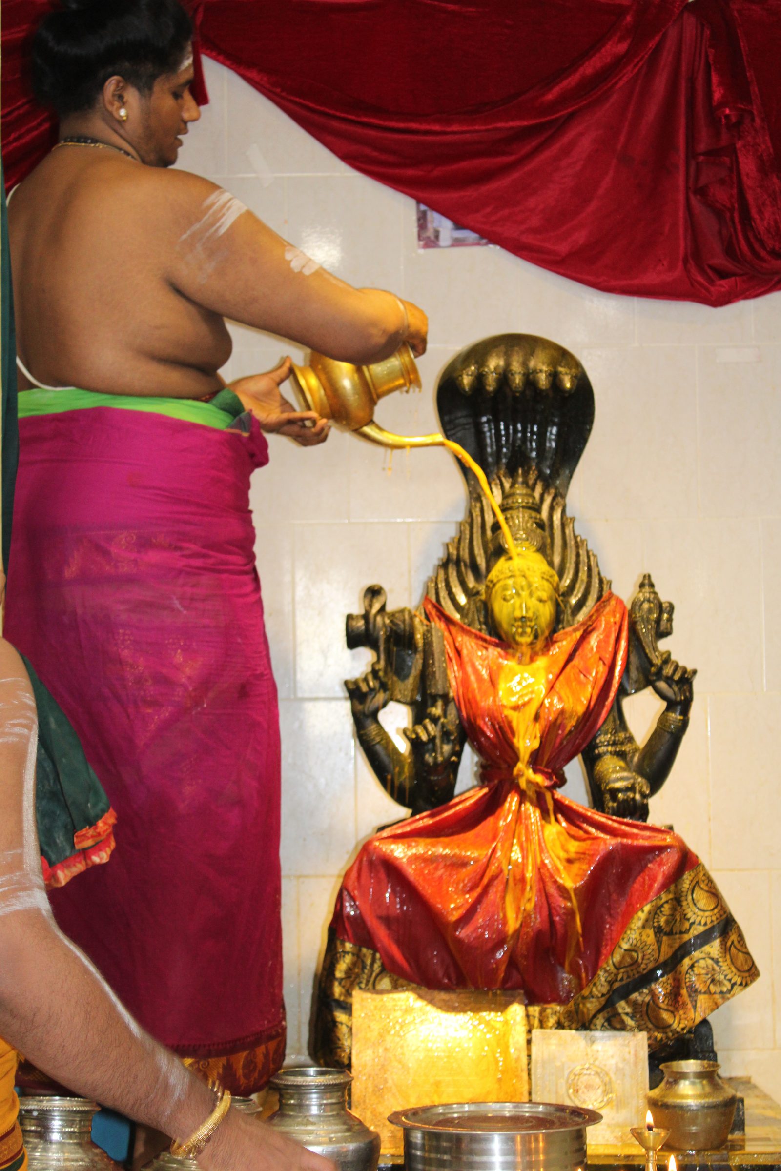 Festival 2024 photo