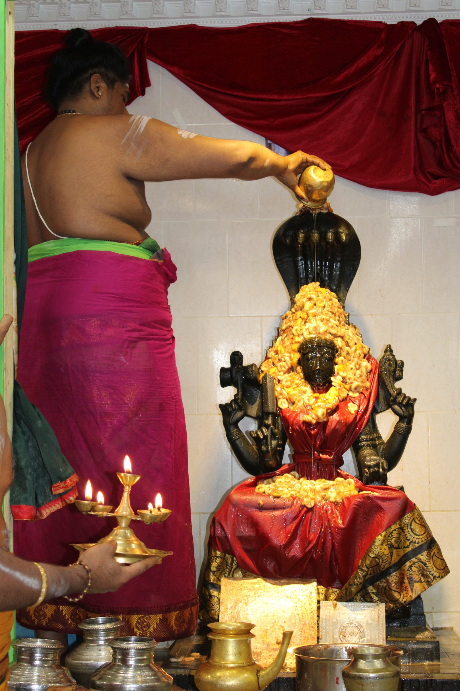 Festival 2024 photo