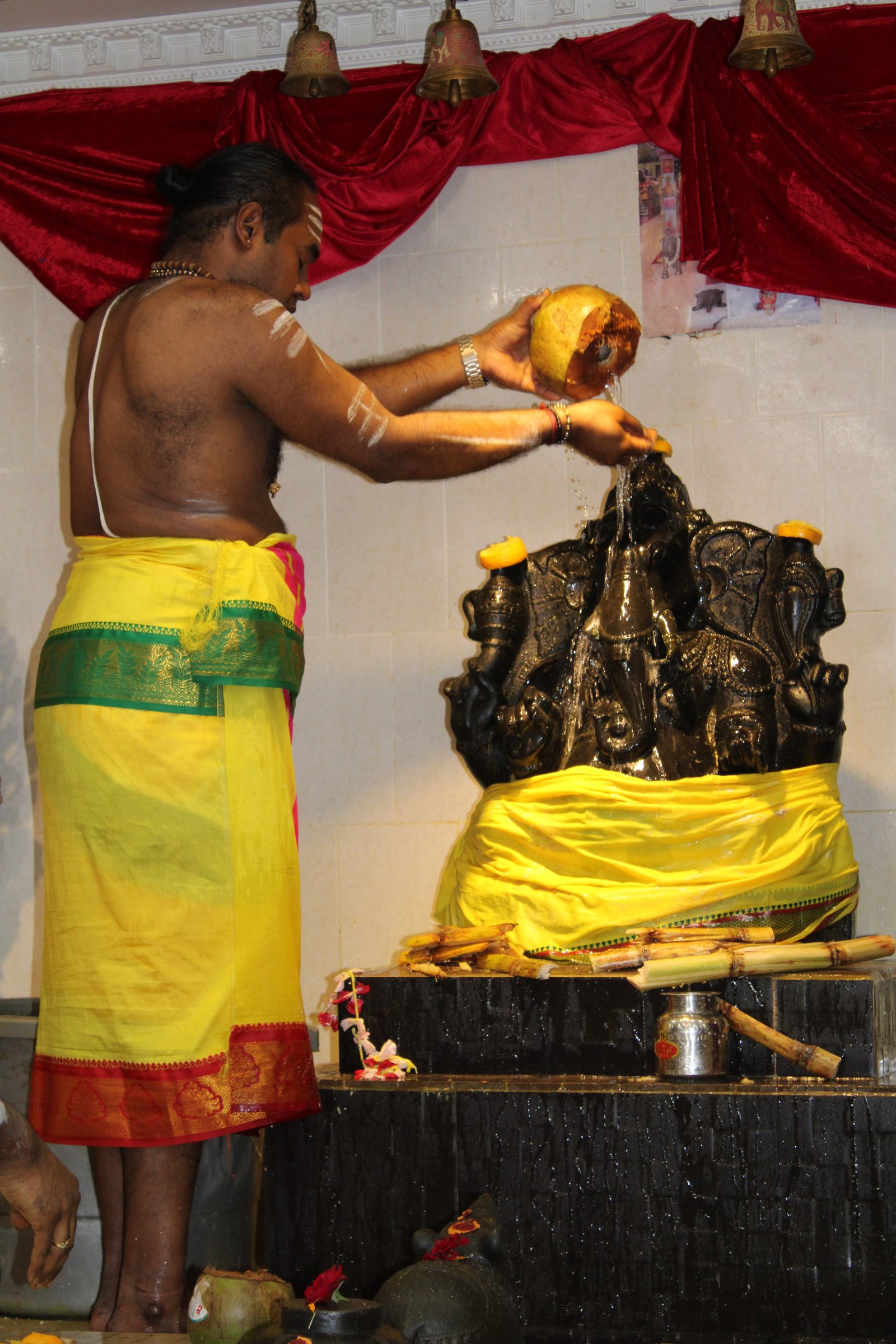 Festival 2024 photo