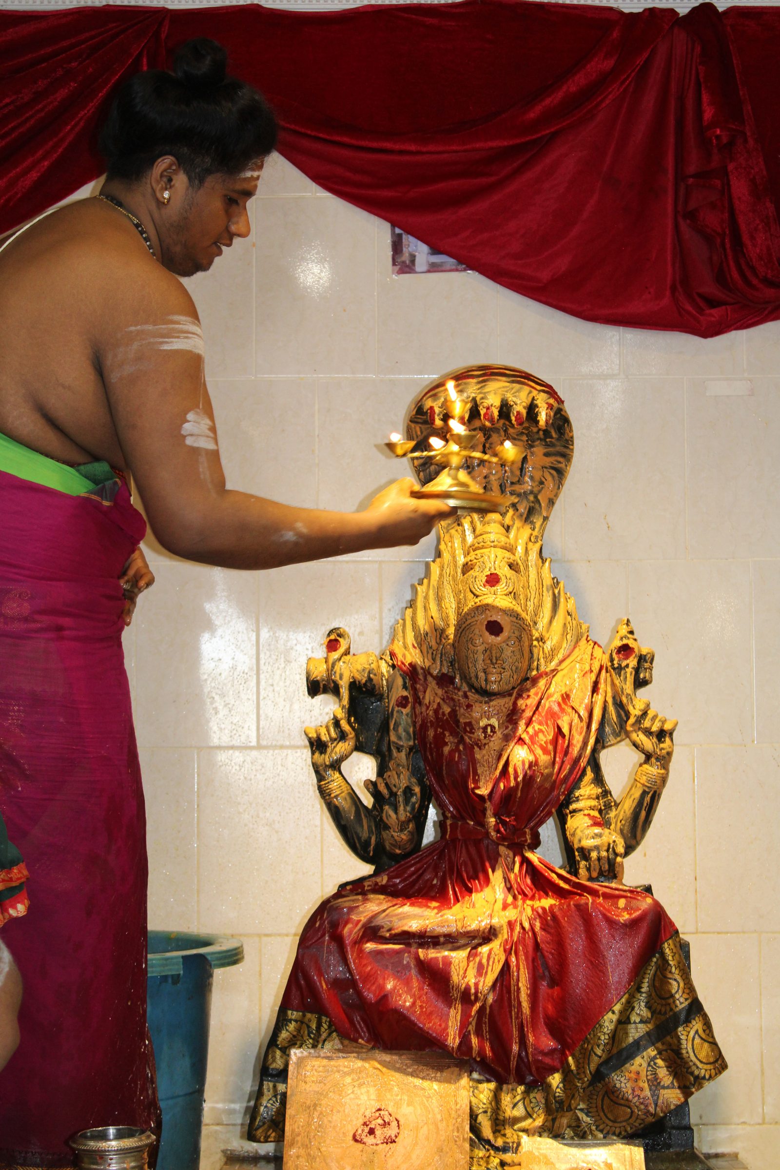 Festival 2024 photo